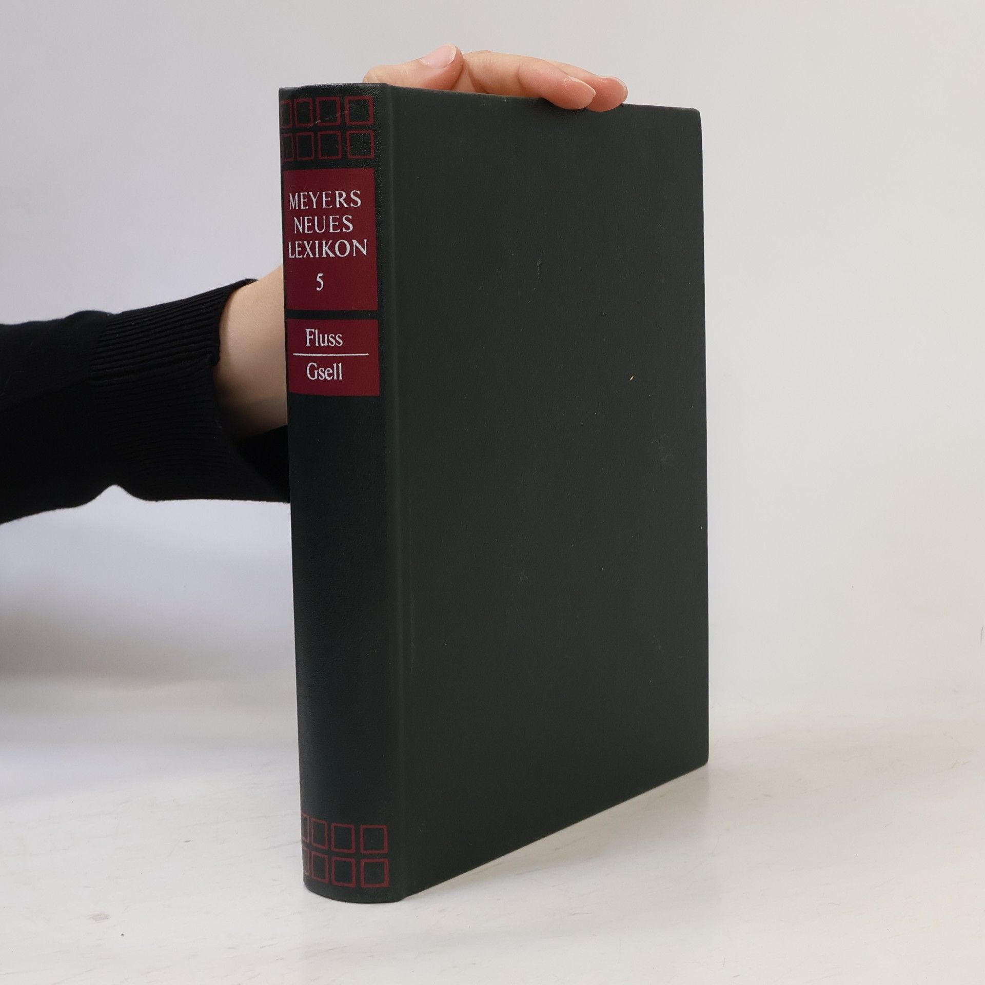 Kolektiv autorů Meyers neues Lexikon 5