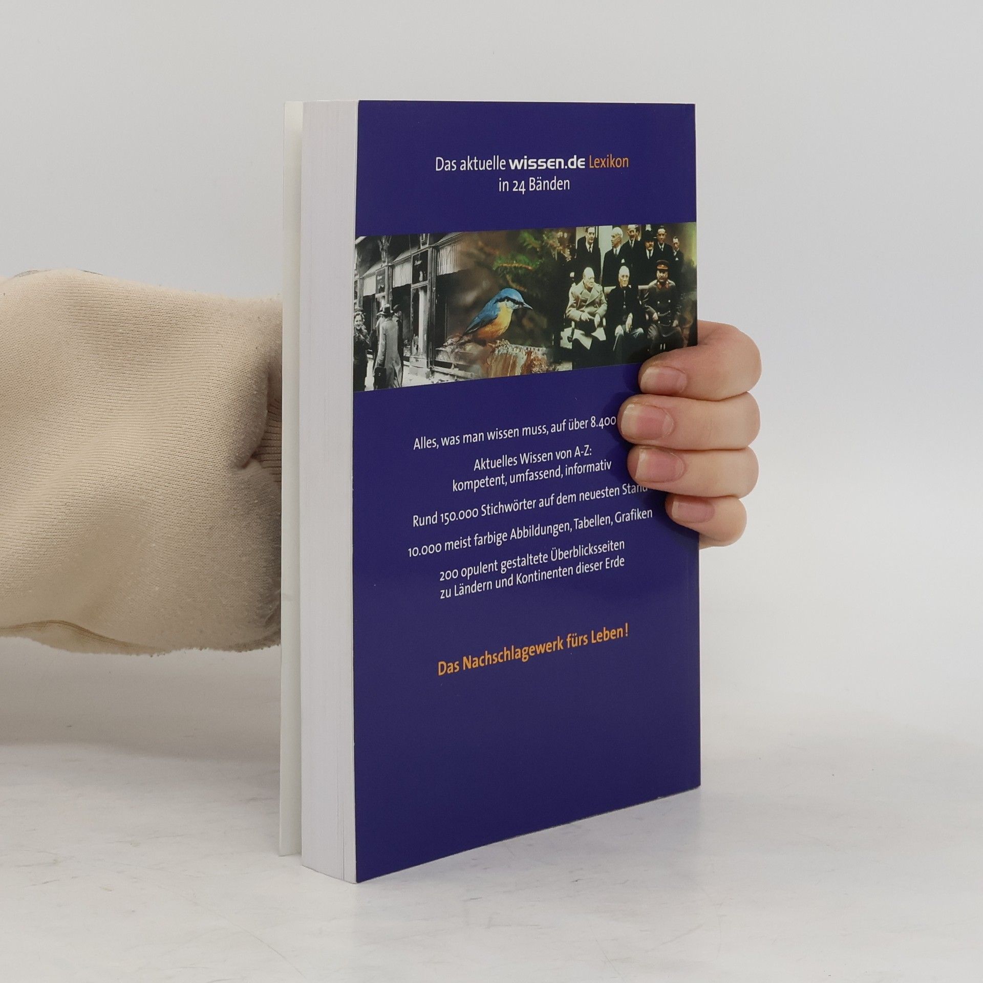 Autorenkollektiv Das aktuelle wissen.de Lexikon 12