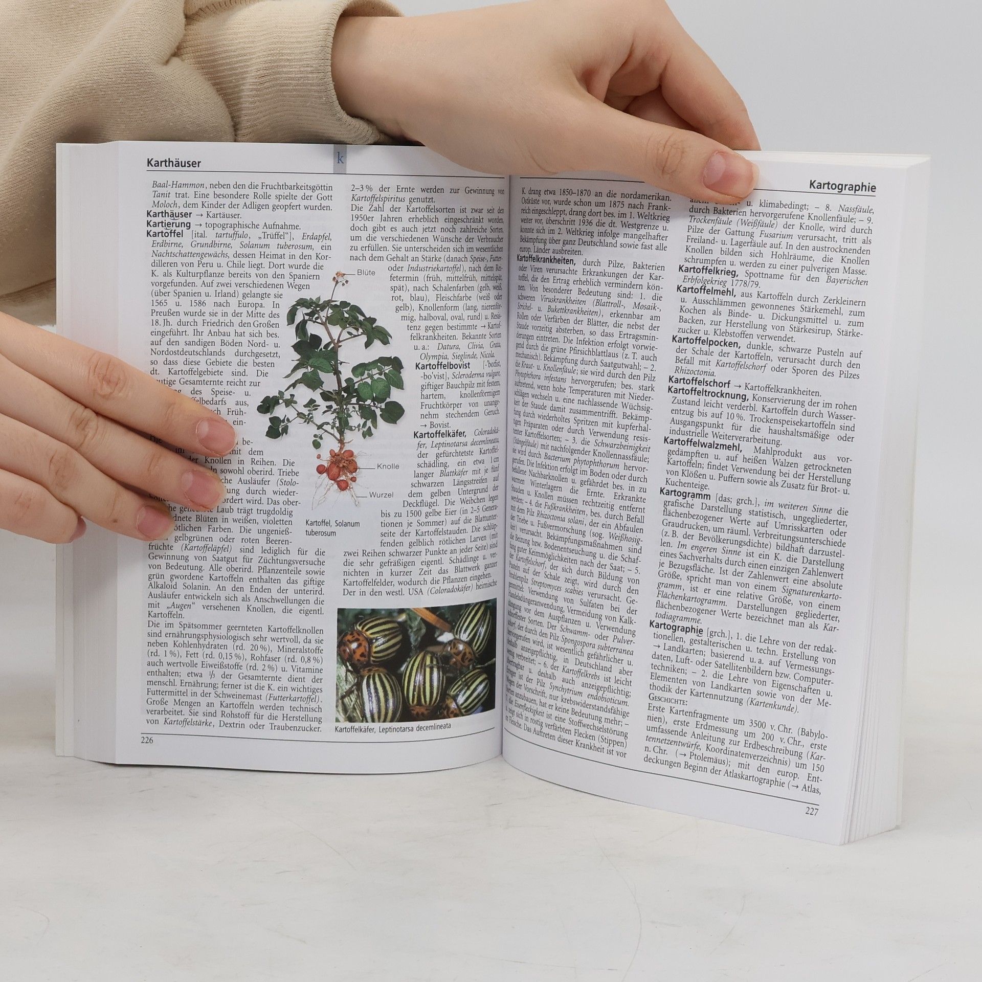 Autorenkollektiv Das aktuelle wissen.de Lexikon 11.
