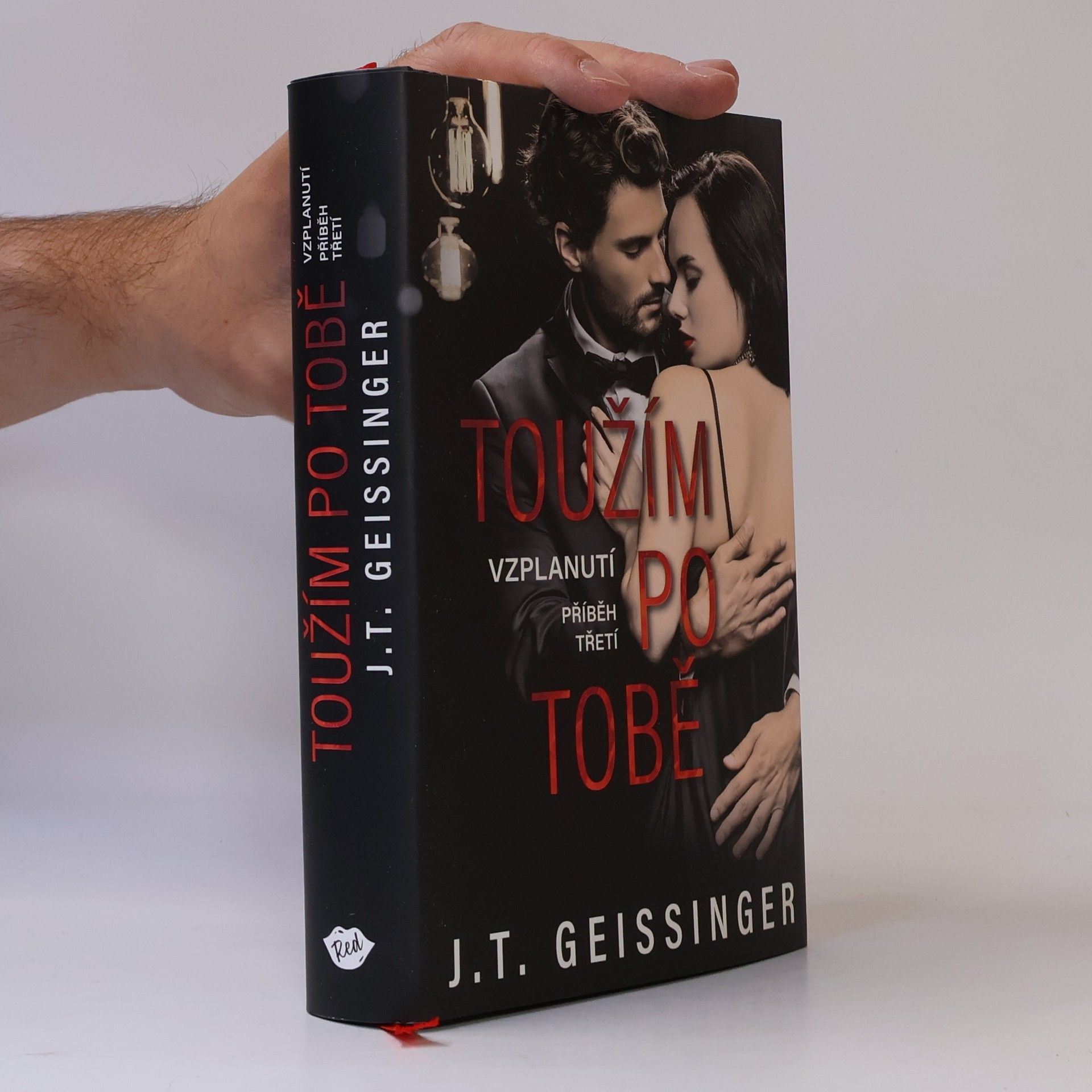 J. T. Geissinger Toužím po tobě