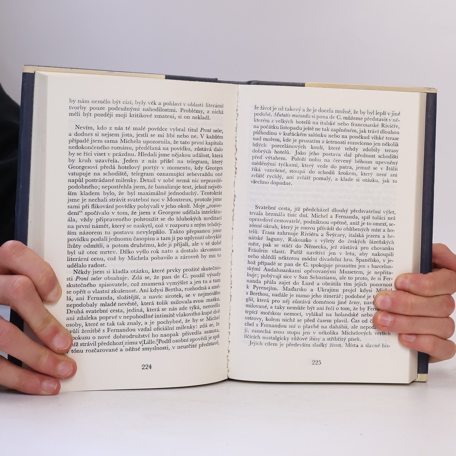 Marguerite Yourcenar Bludiště světa