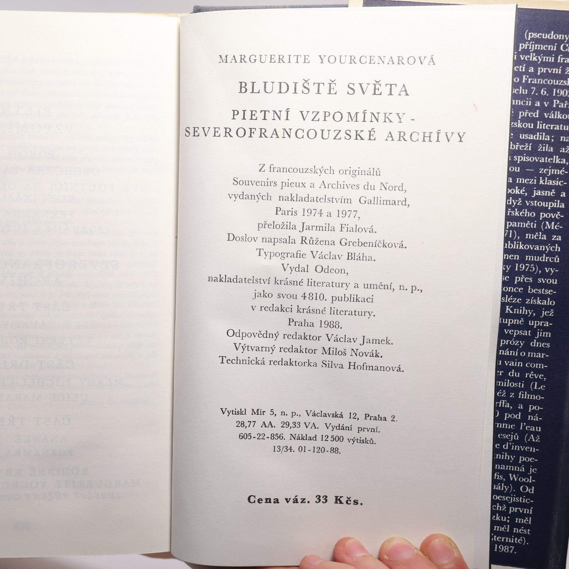 Marguerite Yourcenar Bludiště světa
