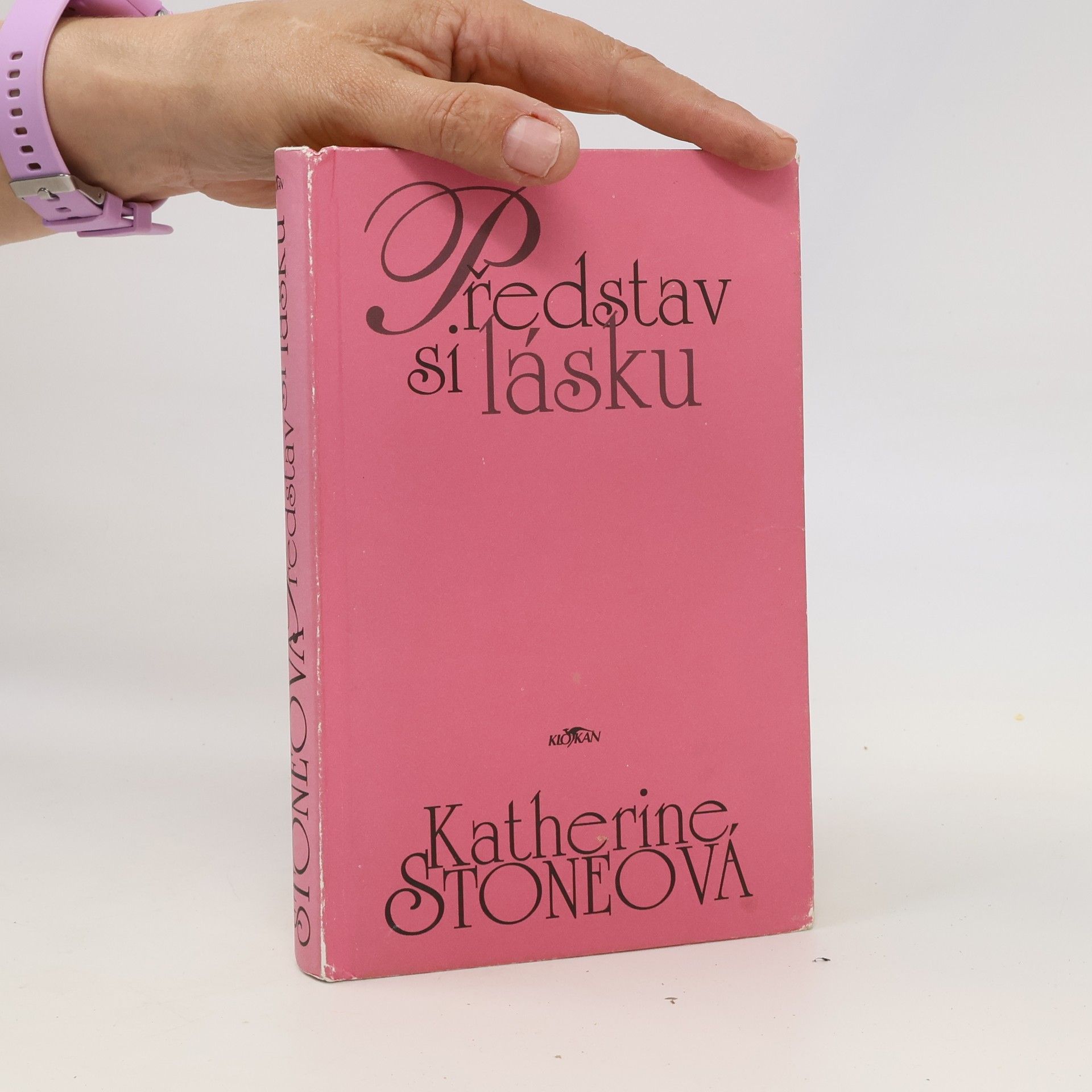 Katherine Stone Představ si lásku