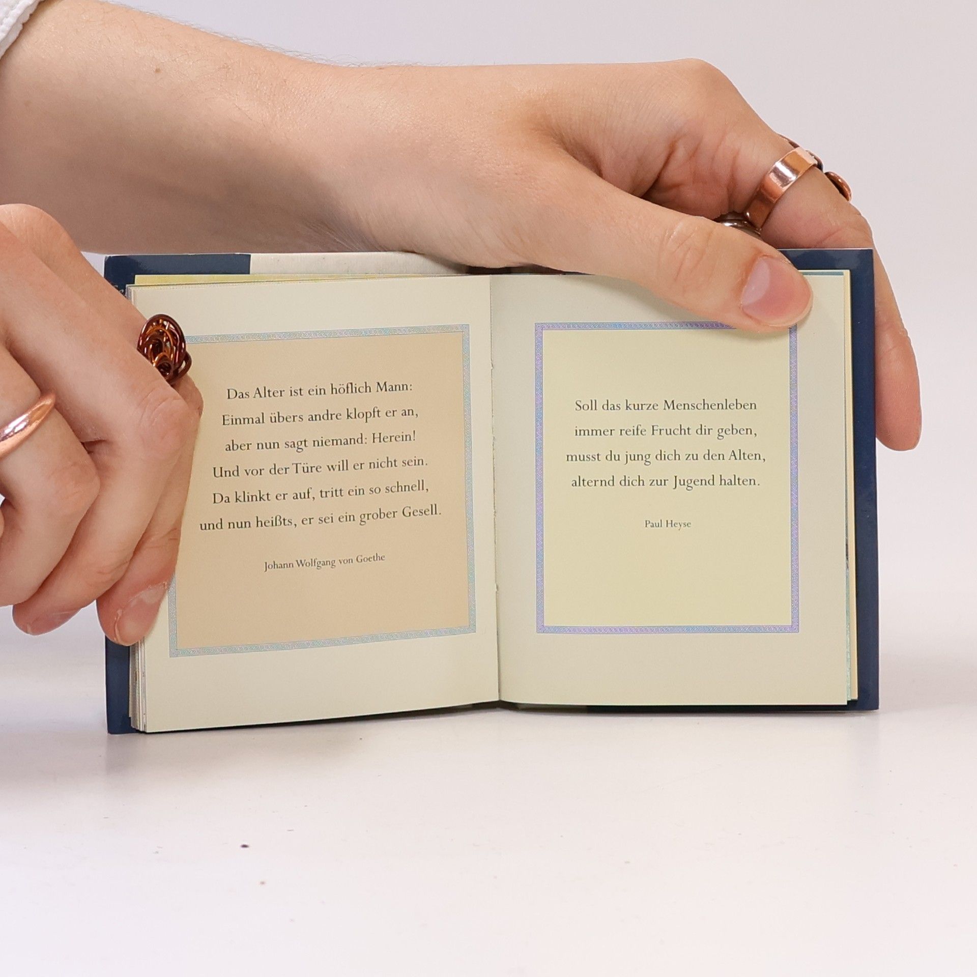 Elke Hesse Die kleine Bibliothek: Beste Wünsche zum Geburtstag
