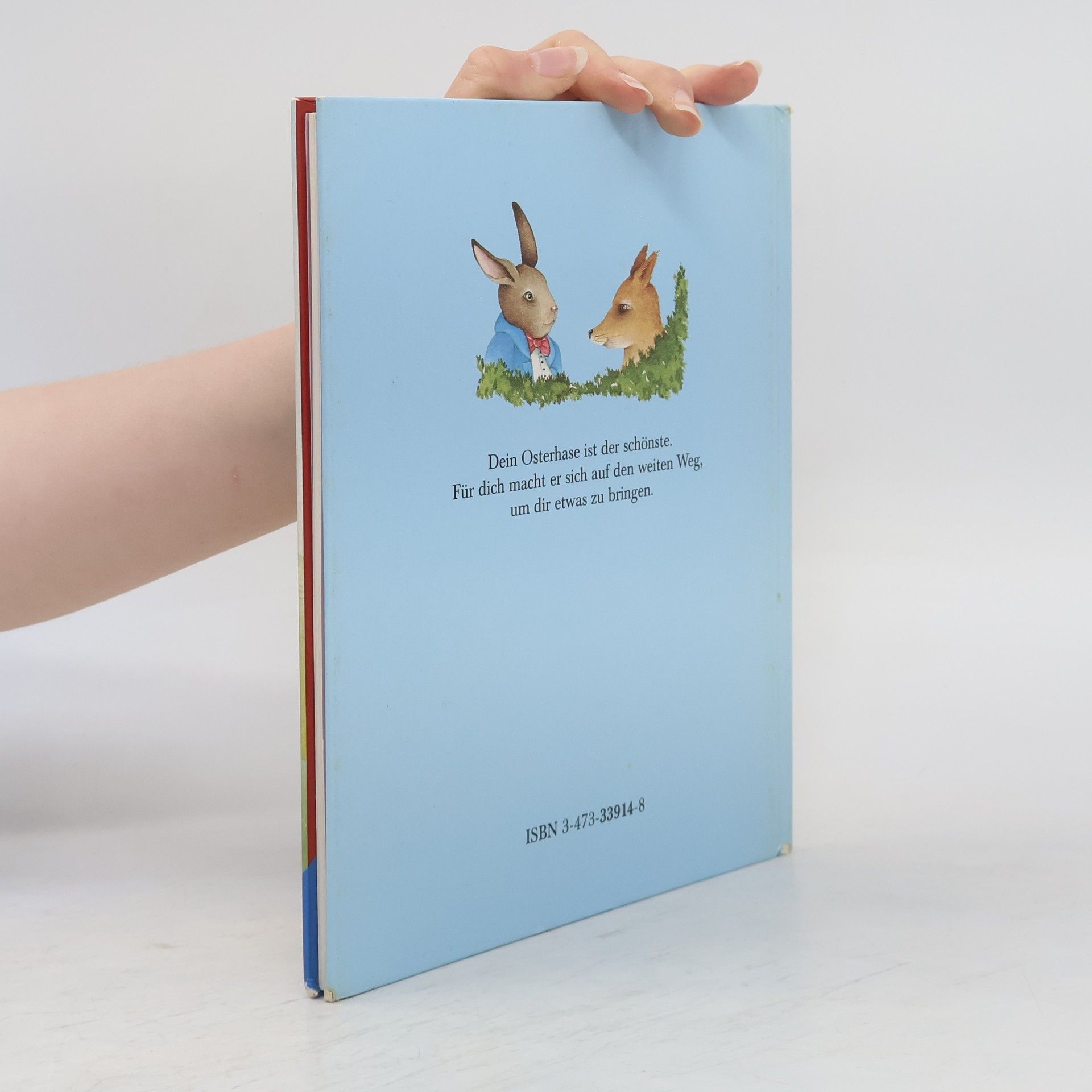 Agne s. Mathieu Der Osterhase