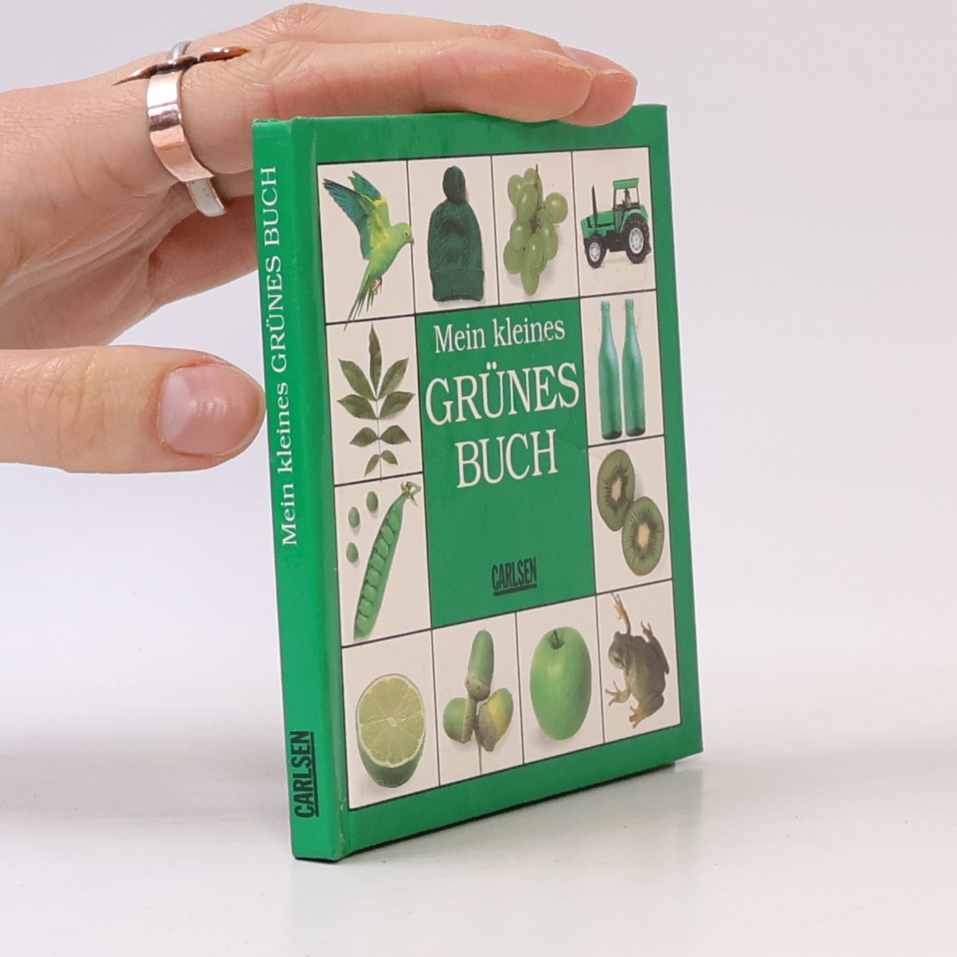 Autores varios Mein kleines grünes Buch