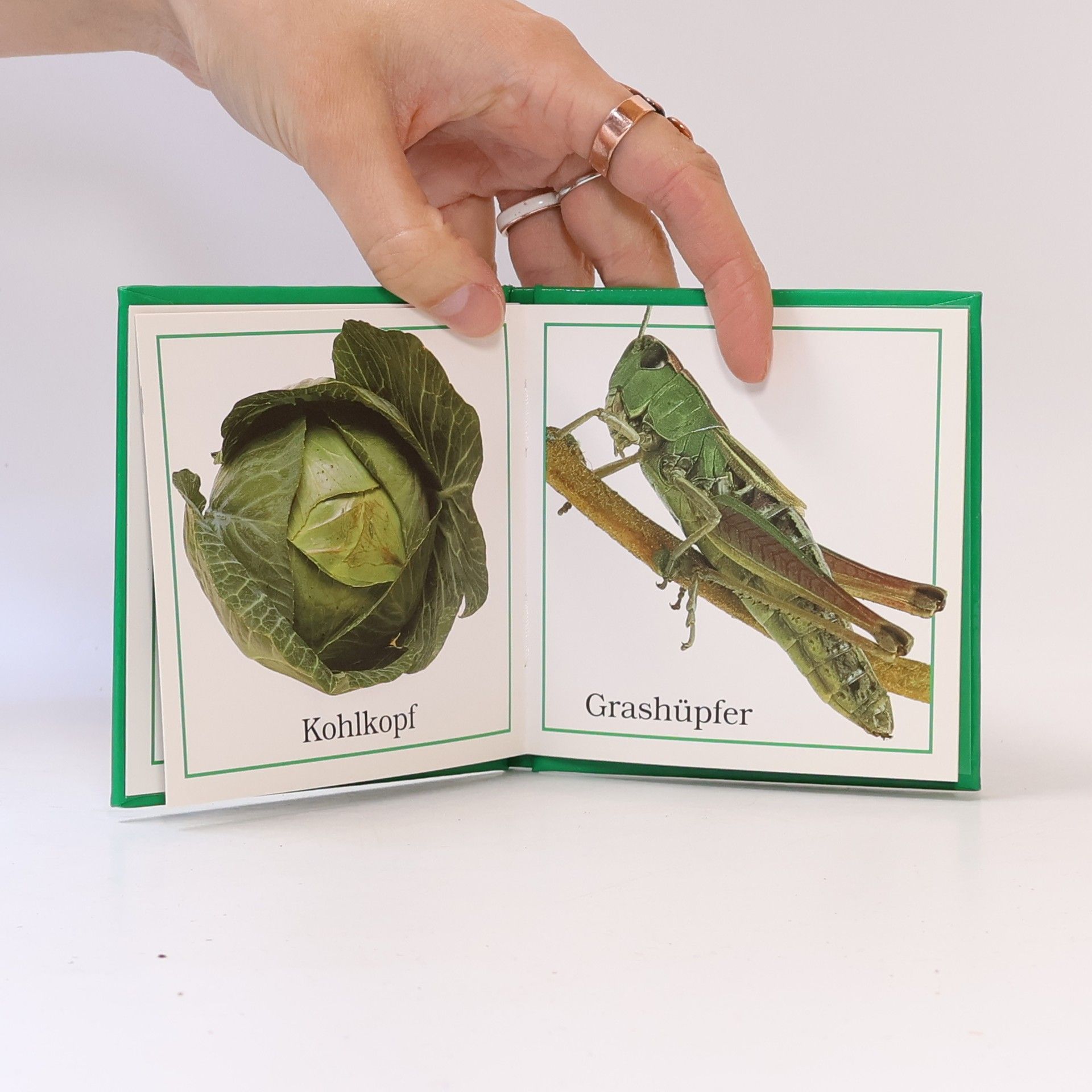 Mein kleines grünes Buch