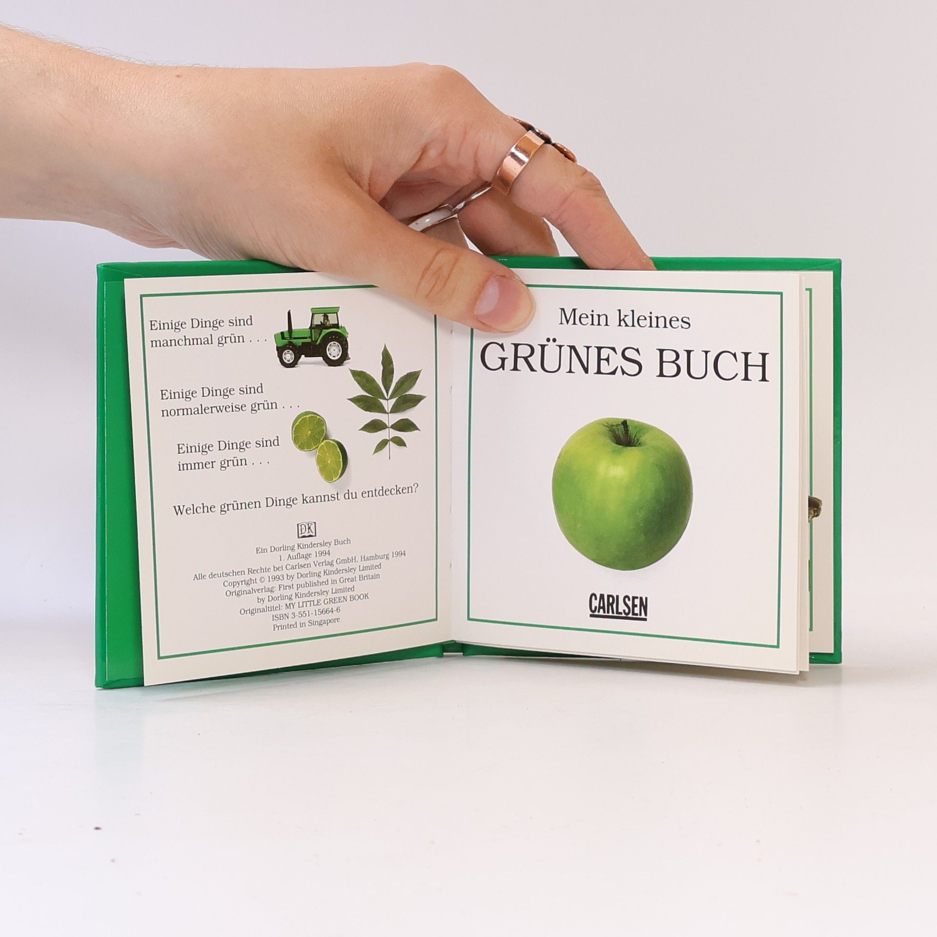 Mein kleines grünes Buch