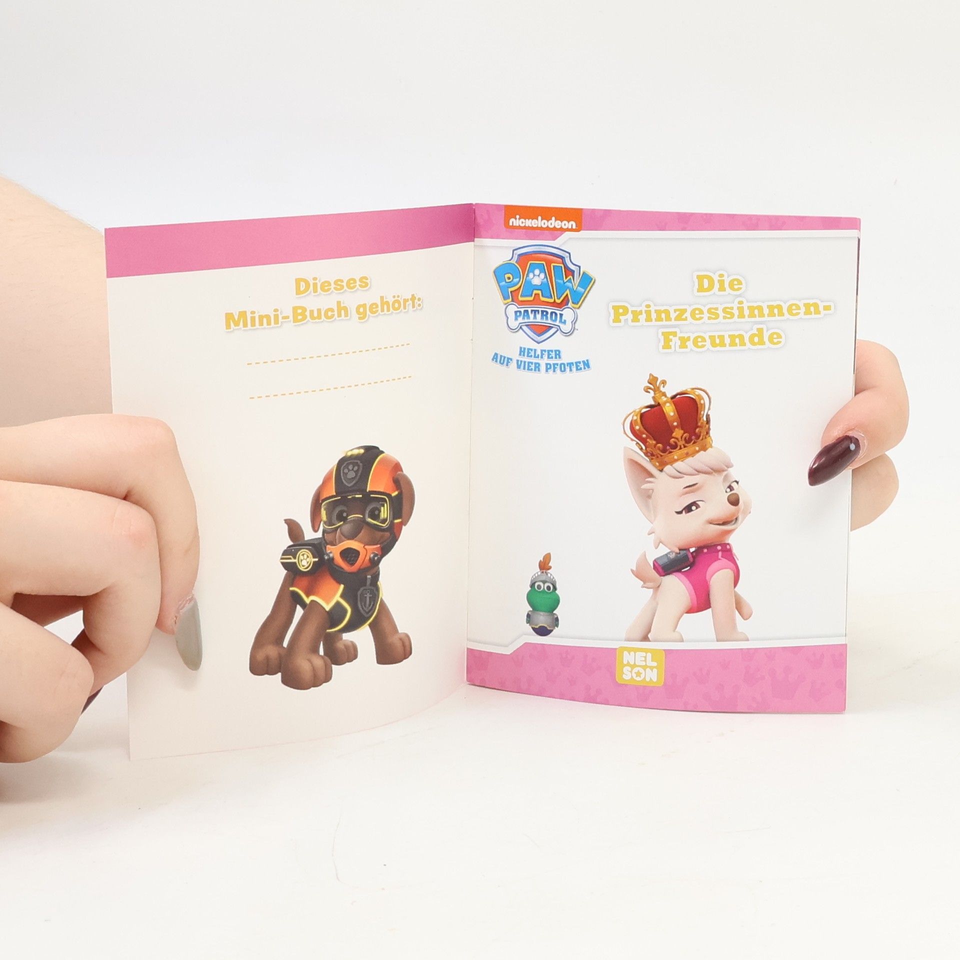 Auteurscollectief PAW Patrol. Heldenhafte Labyrinthe