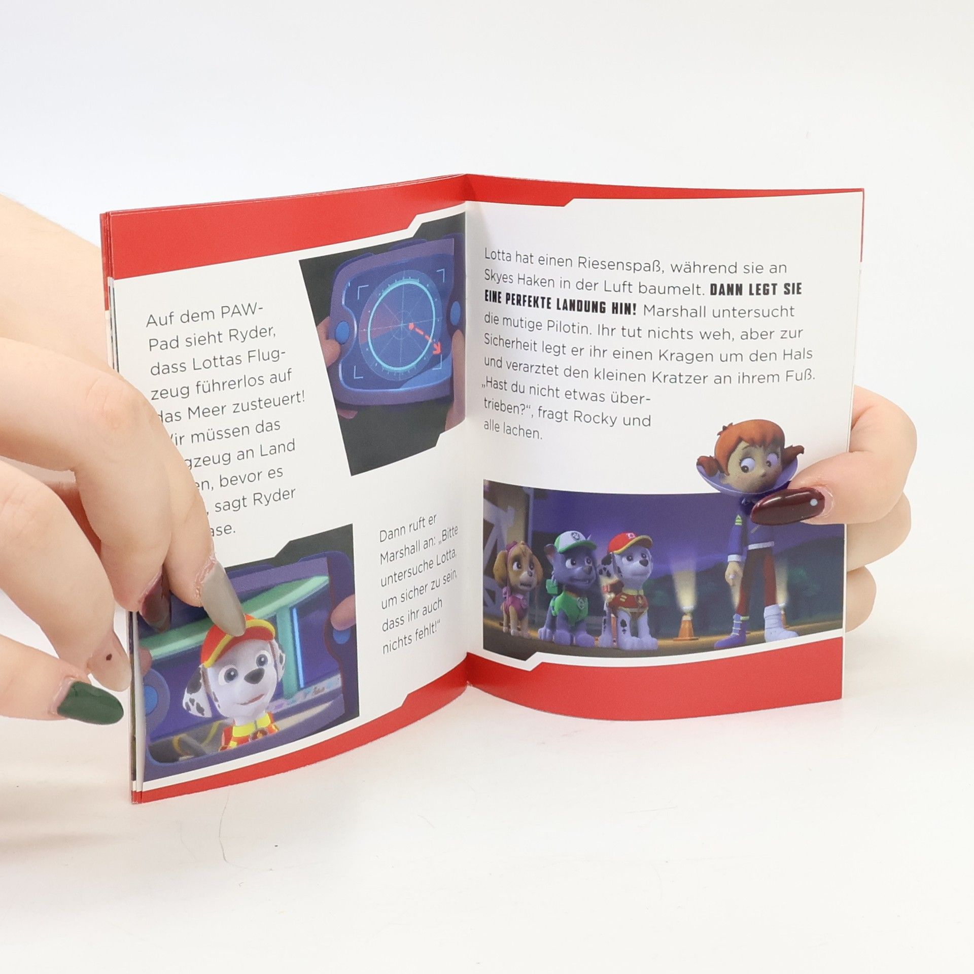 Auteurscollectief Paw Patrol: Ein Ass in der Luft