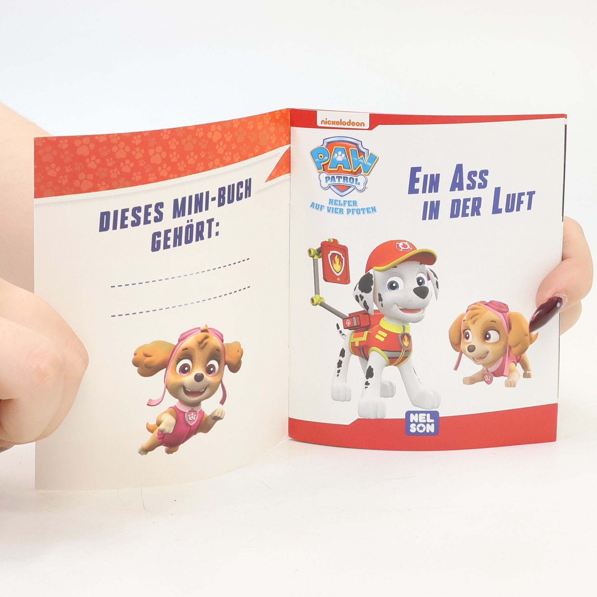 Auteurscollectief Paw Patrol: Ein Ass in der Luft