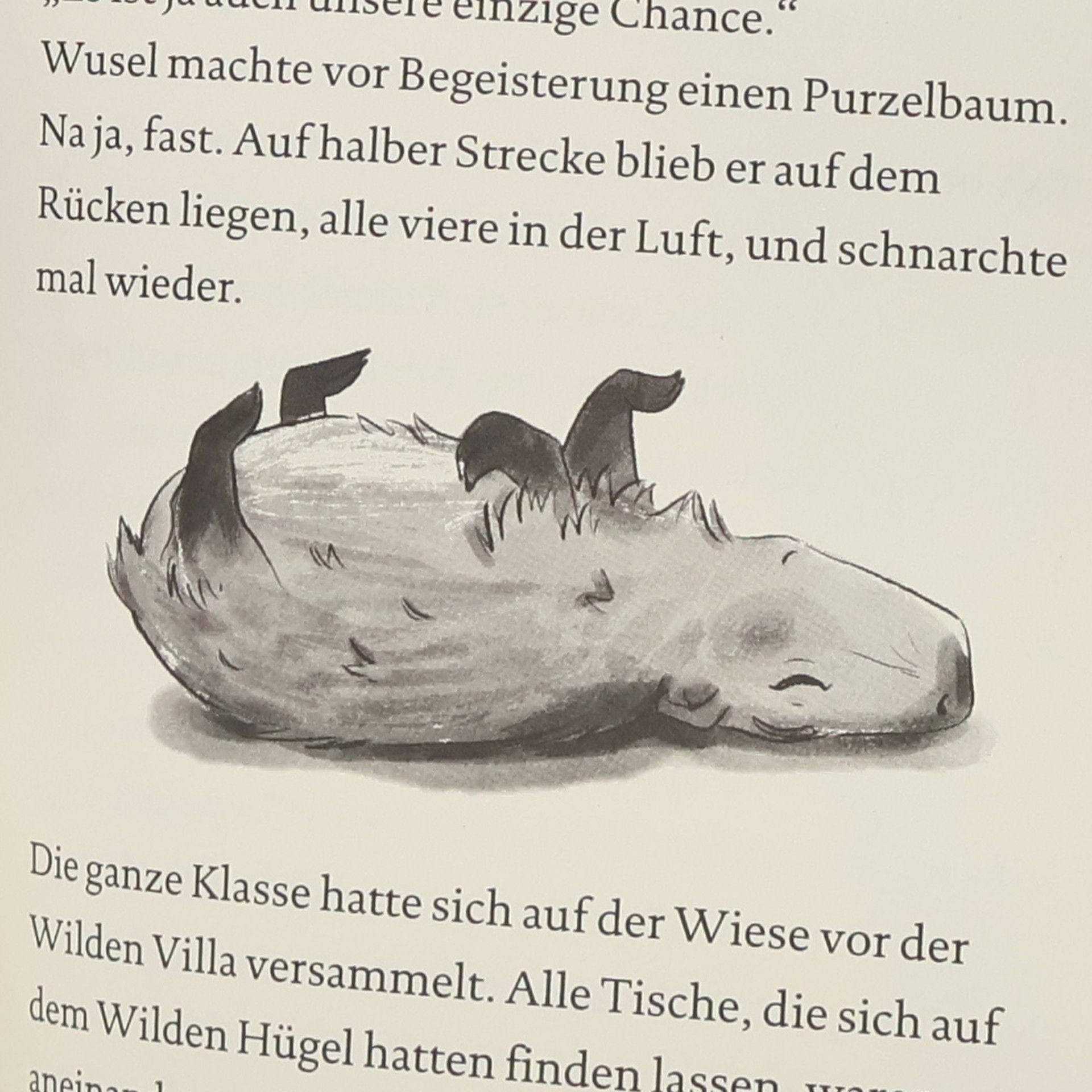 Judith Allert Ein bärenstarker Rettungsplan