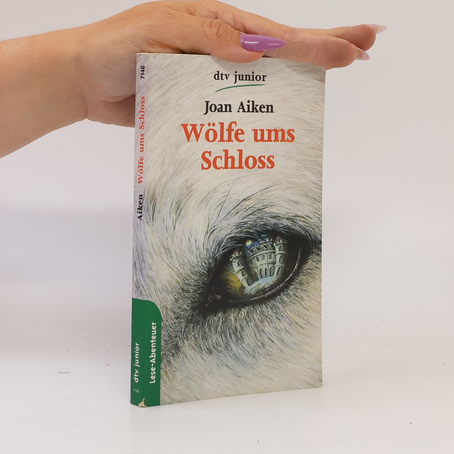Joan Aiken Wölfe ums Schloss