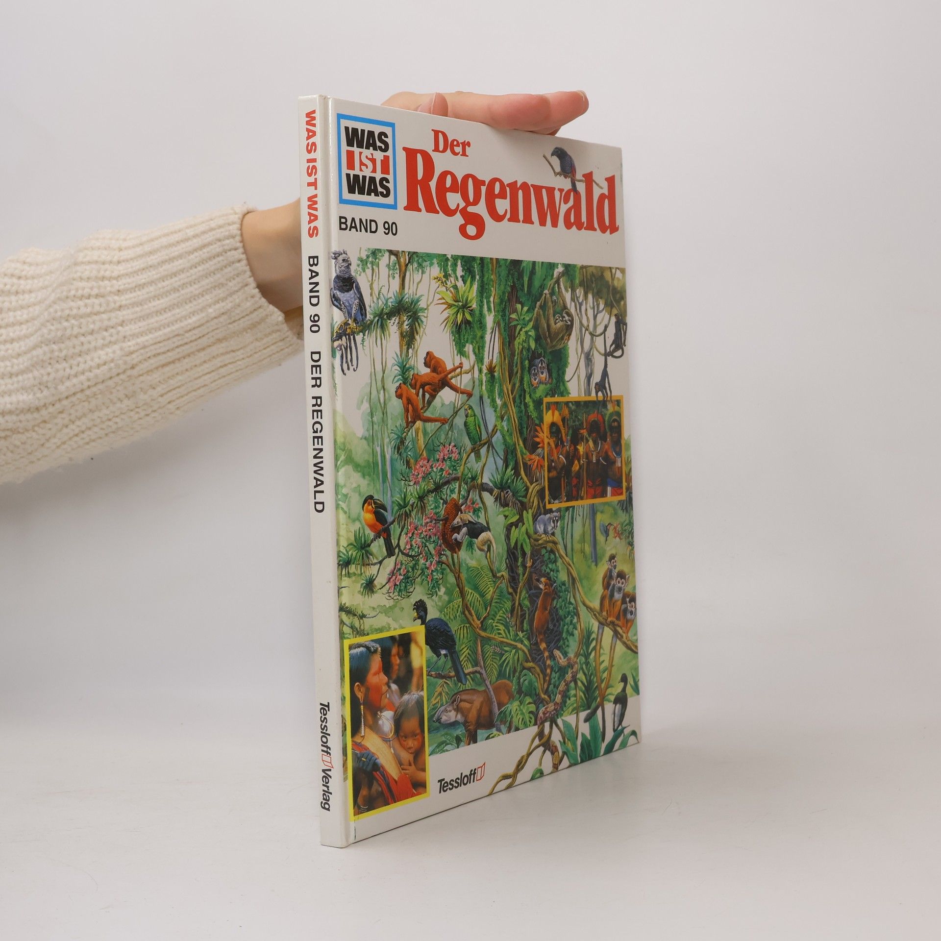 Andrea Mertiny Der Regenwald