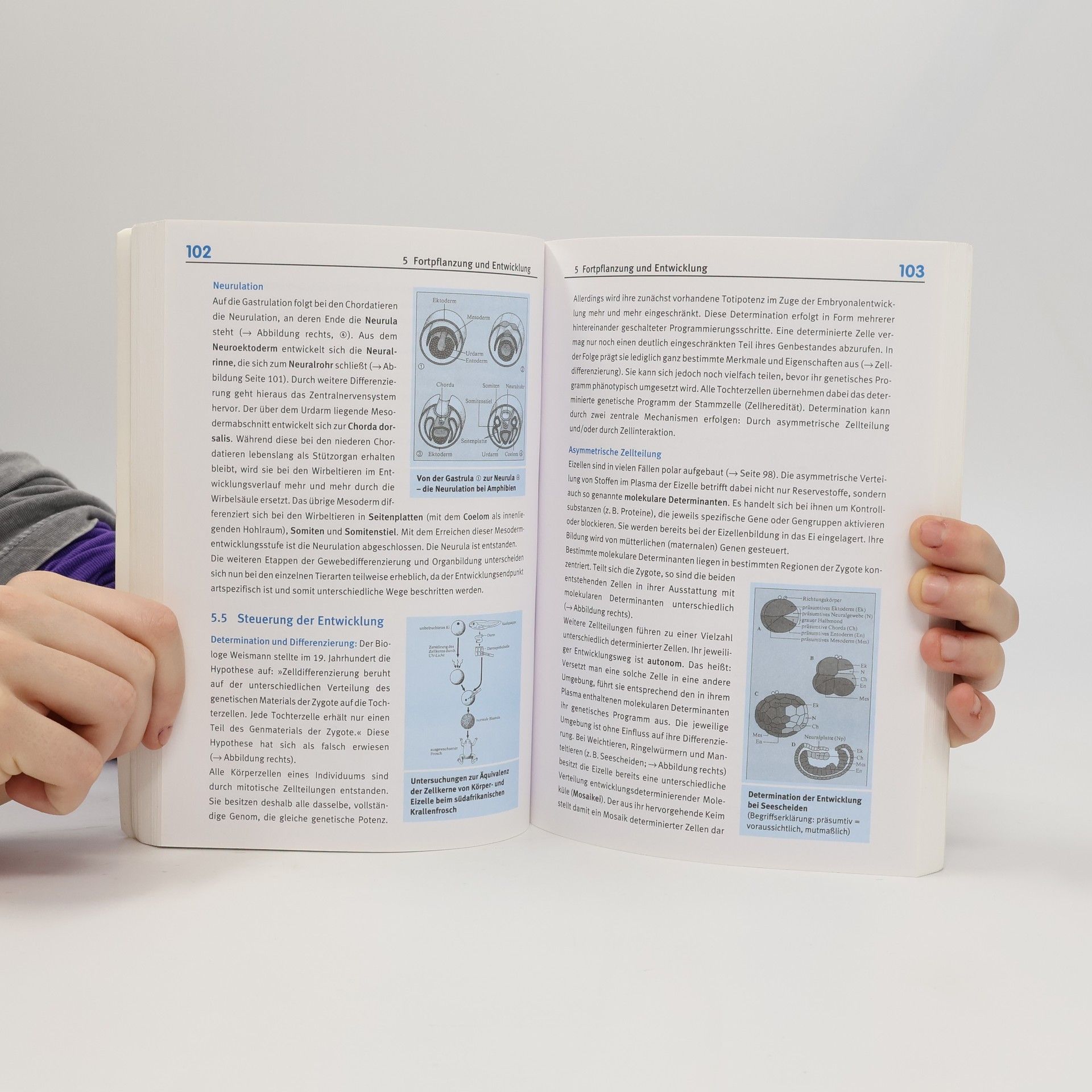Autorenkollektiv Schülerhilfe: Biologie