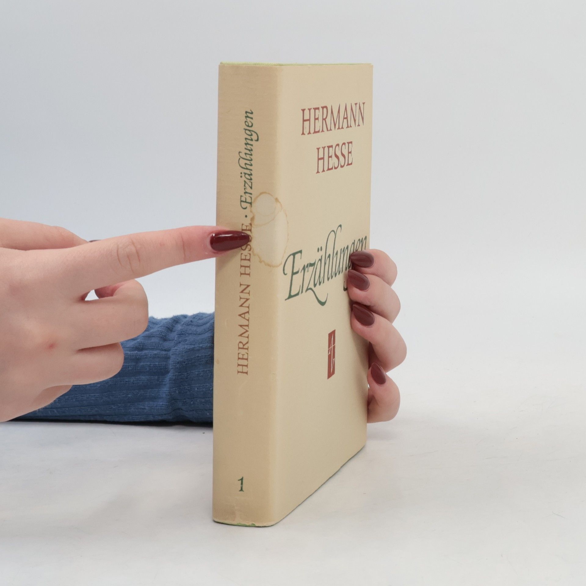 Hermann Hesse Erzählungen 2
