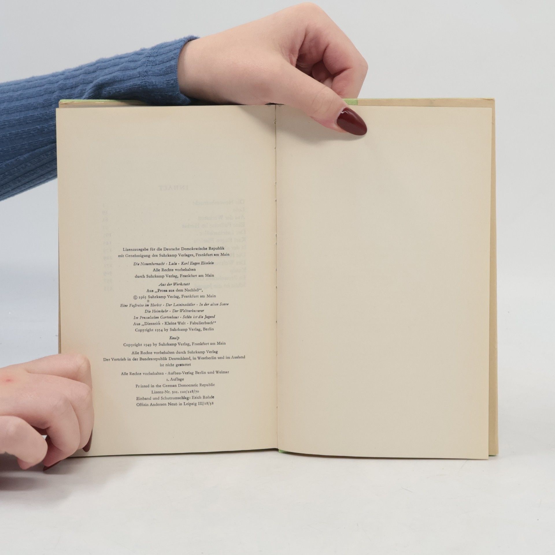 Hermann Hesse Erzählungen 2