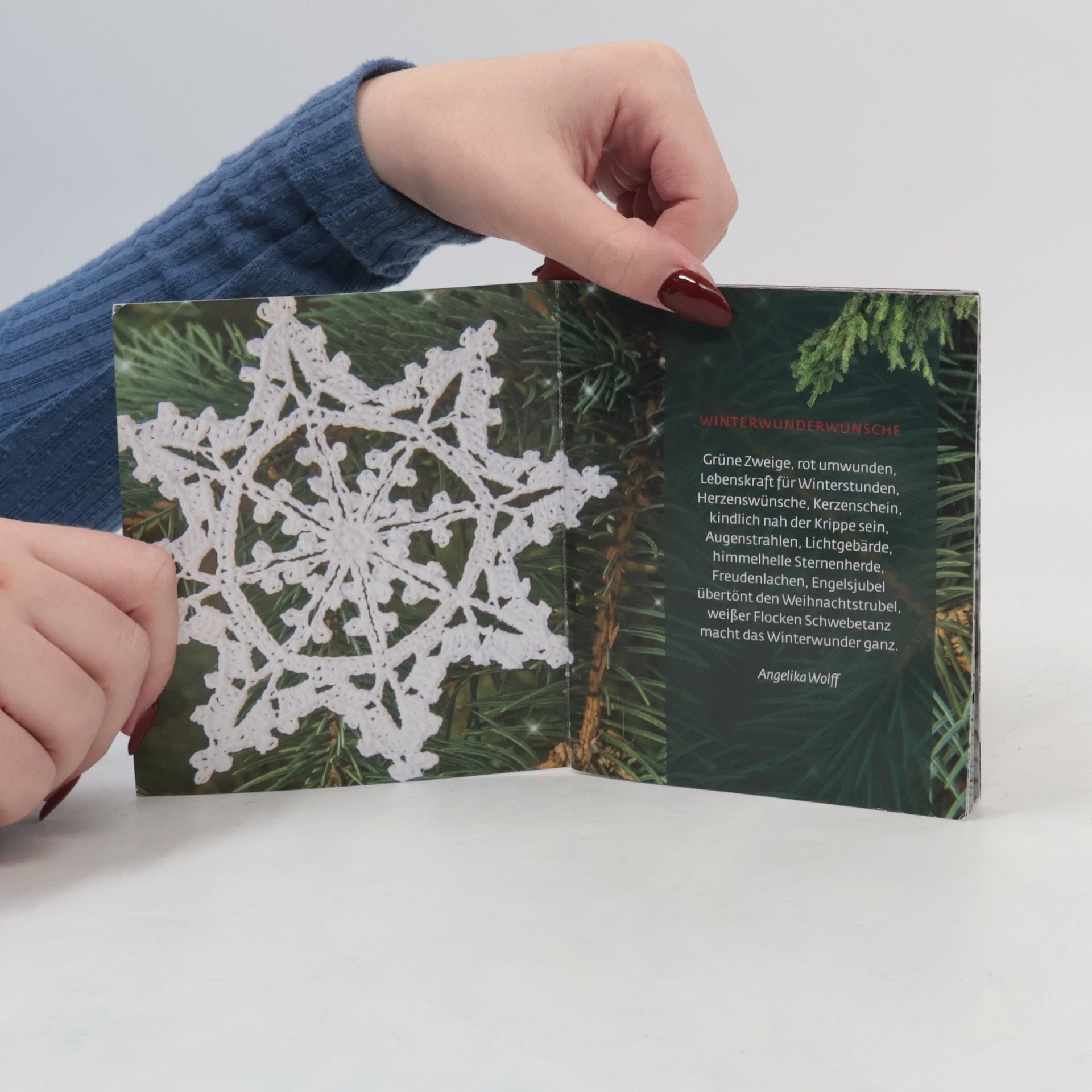 Autores varios Schneeflöckchen, Weißröckchen. Lauter leise Wünsche