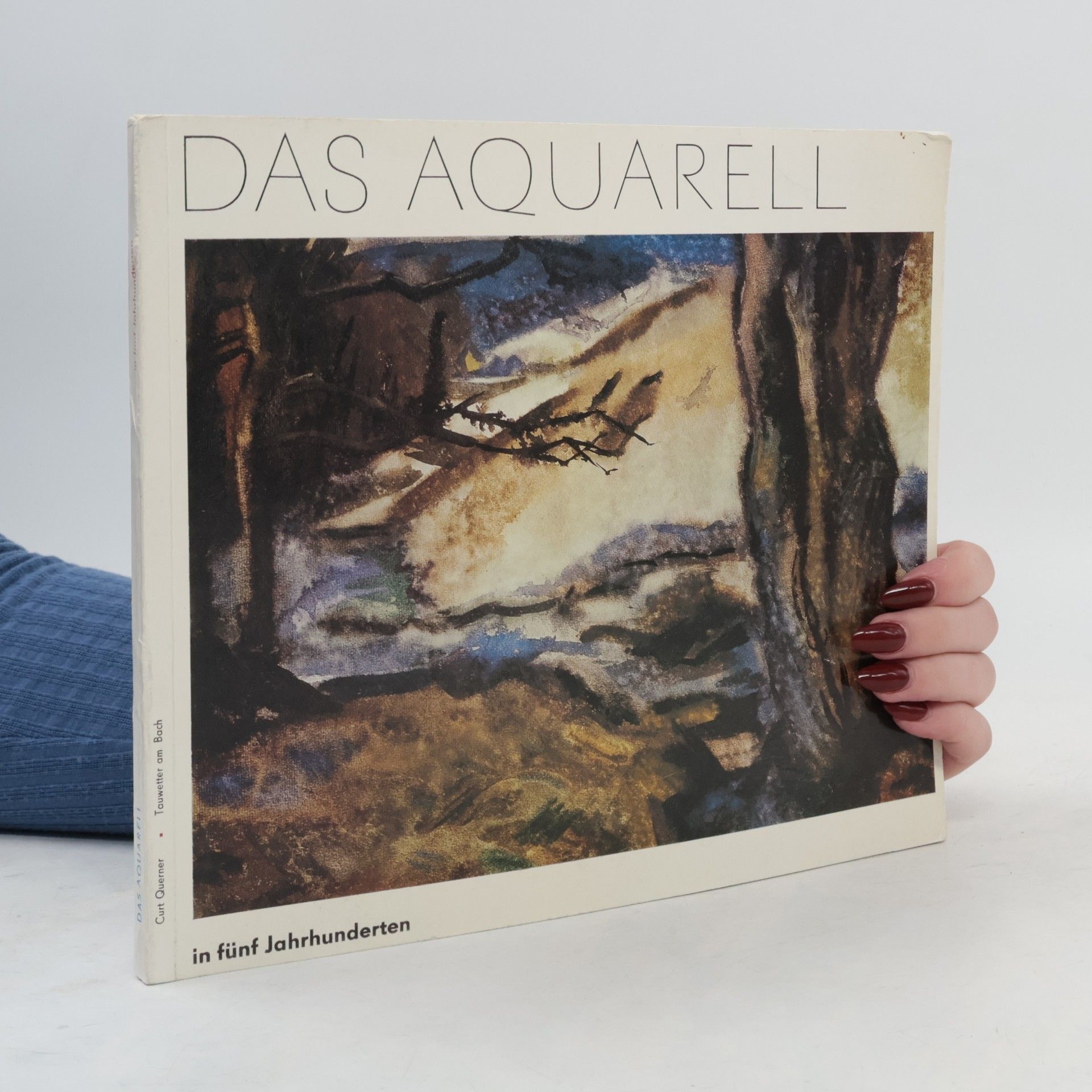 Kolektiv autorů Das Aquarell in funf Jahrhunderten