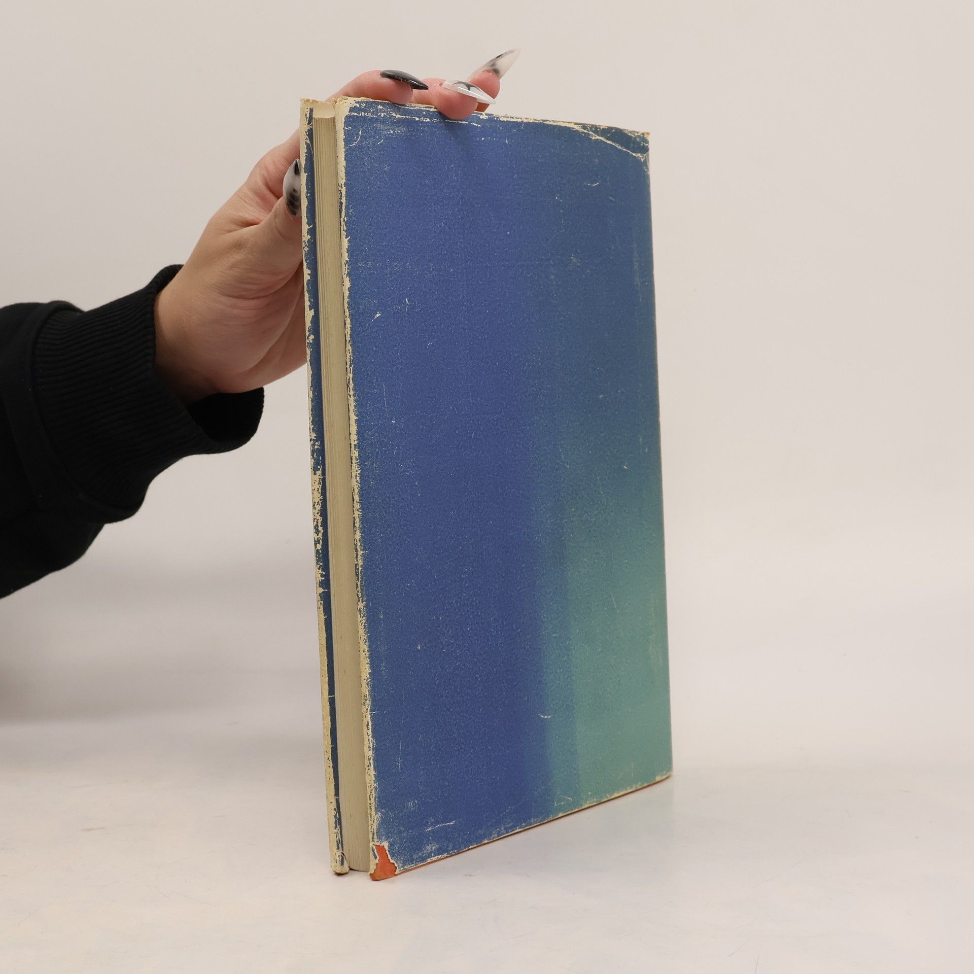 Ernst Diez Iranische Kunst