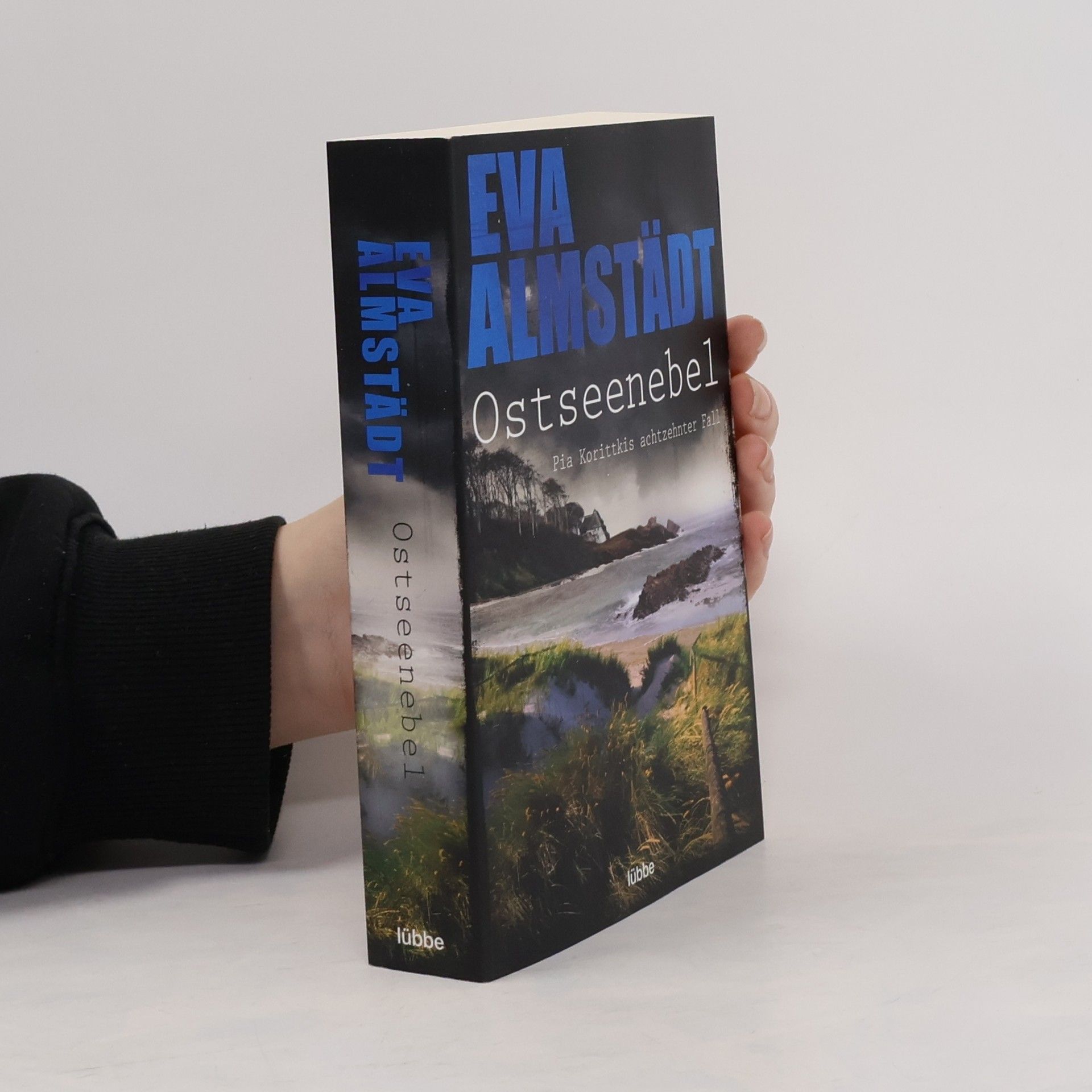 Eva Almstädt Ostseenebel