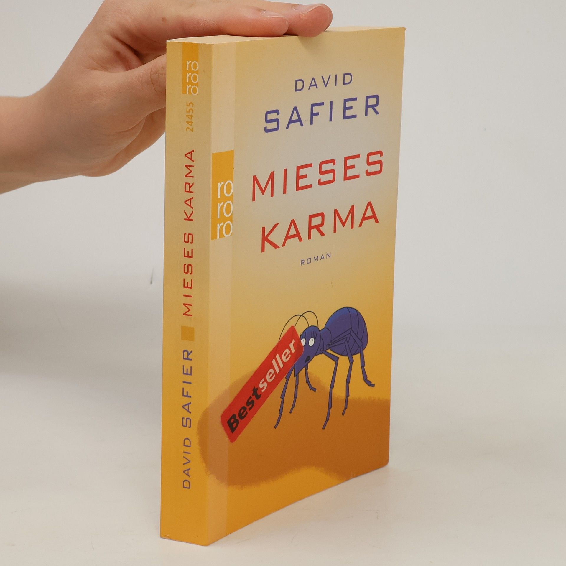 David Safier Mieses Karma