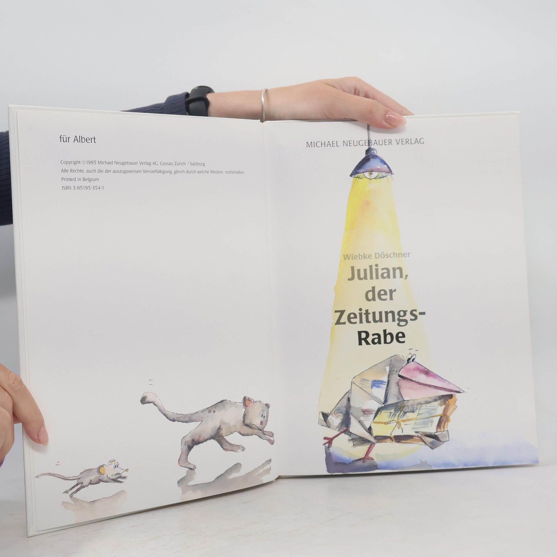 Wiebke Döschner Julian und der Zeitungsrabe