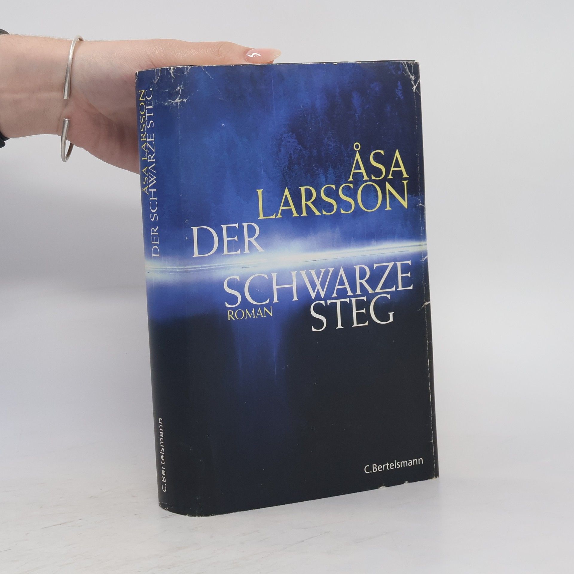 Åsa Larsson Der schwarze Steg