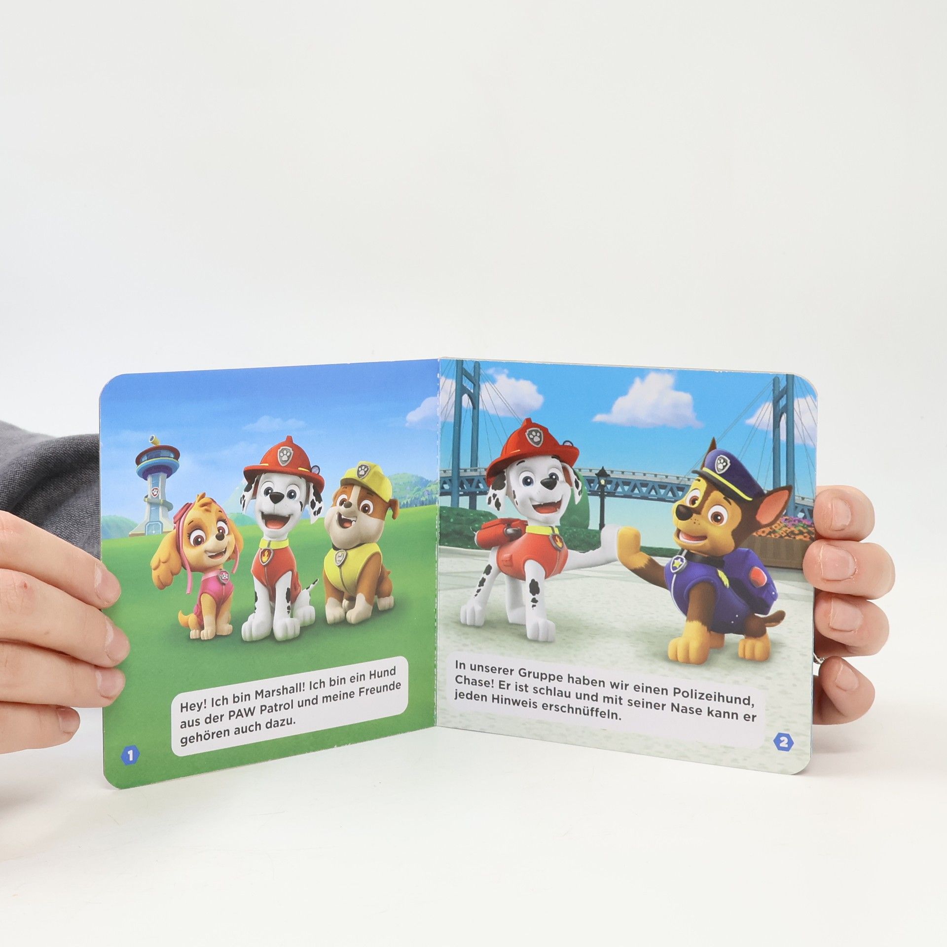 Autorenkollektiv Paw Patrol 1.-3.