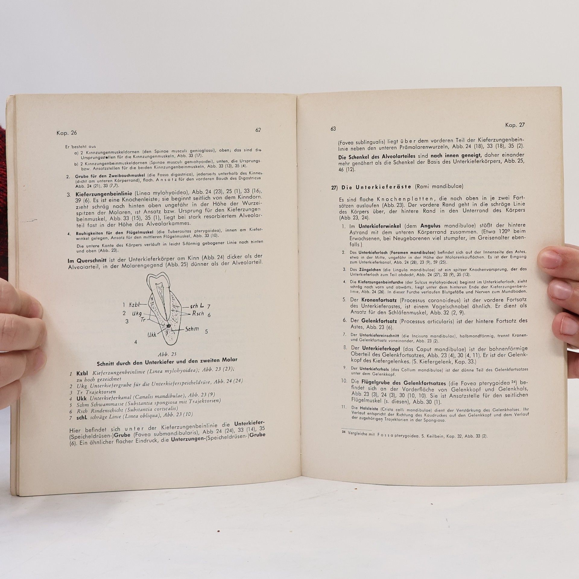 Franz Knischewski Die theoretischen Grundlagen der Zahnprothetik III