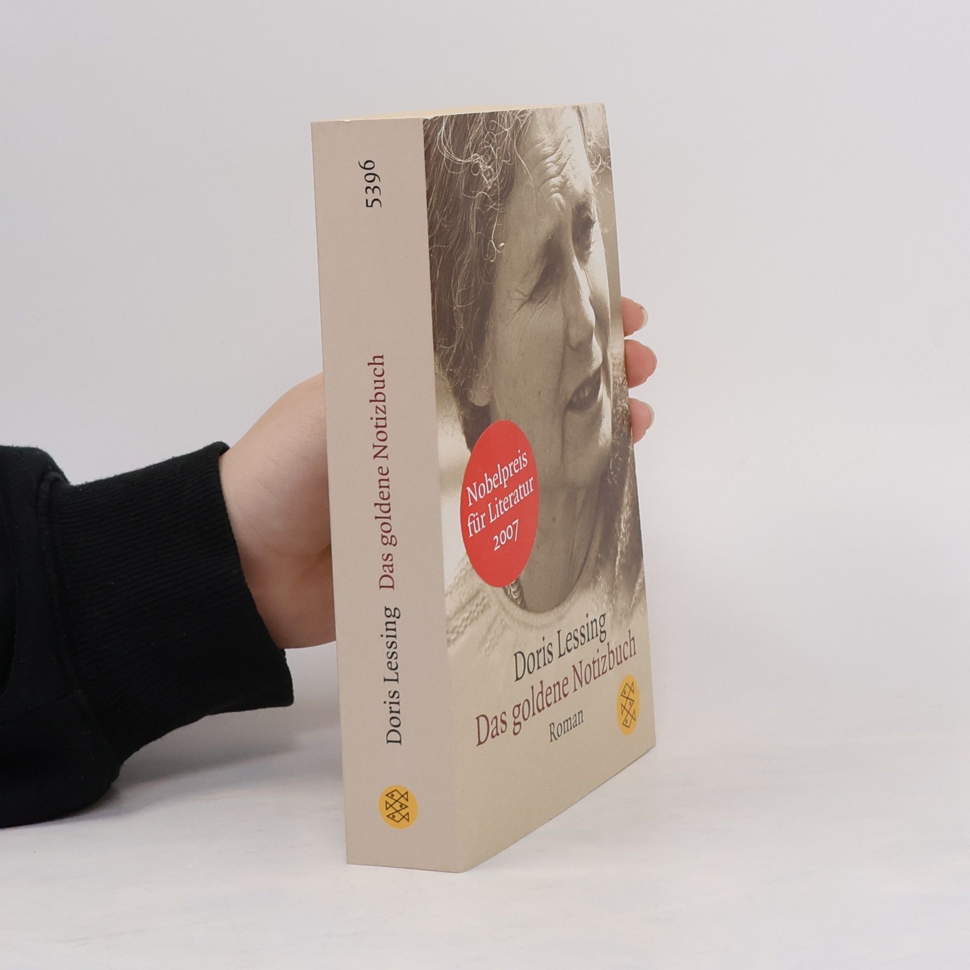 Doris Lessing Das goldene Notizbuch