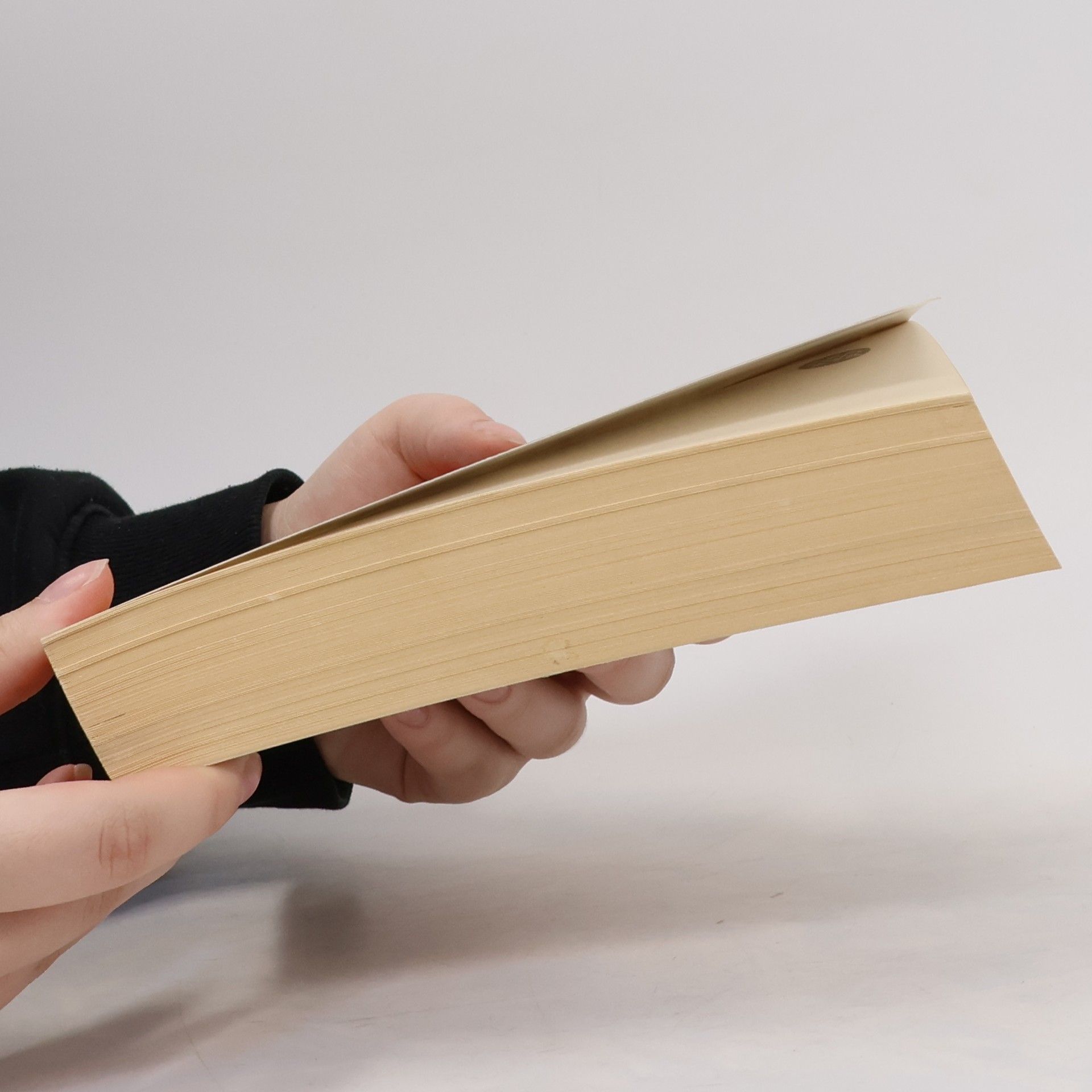 Doris Lessing Das goldene Notizbuch