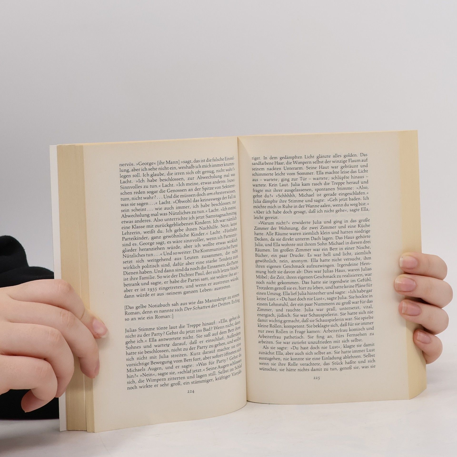 Doris Lessing Das goldene Notizbuch