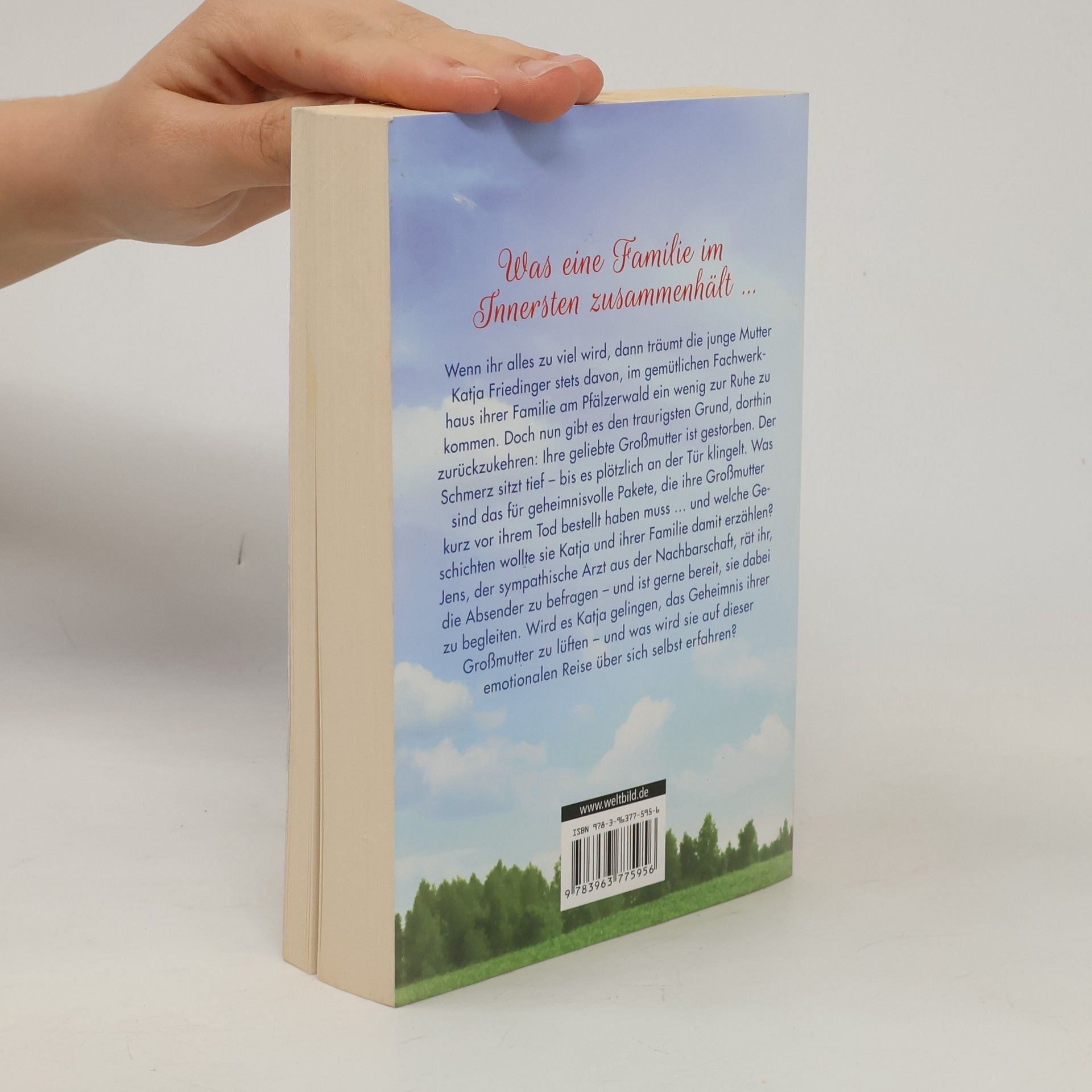 Amanda Kissel Das kleine Haus am Wald