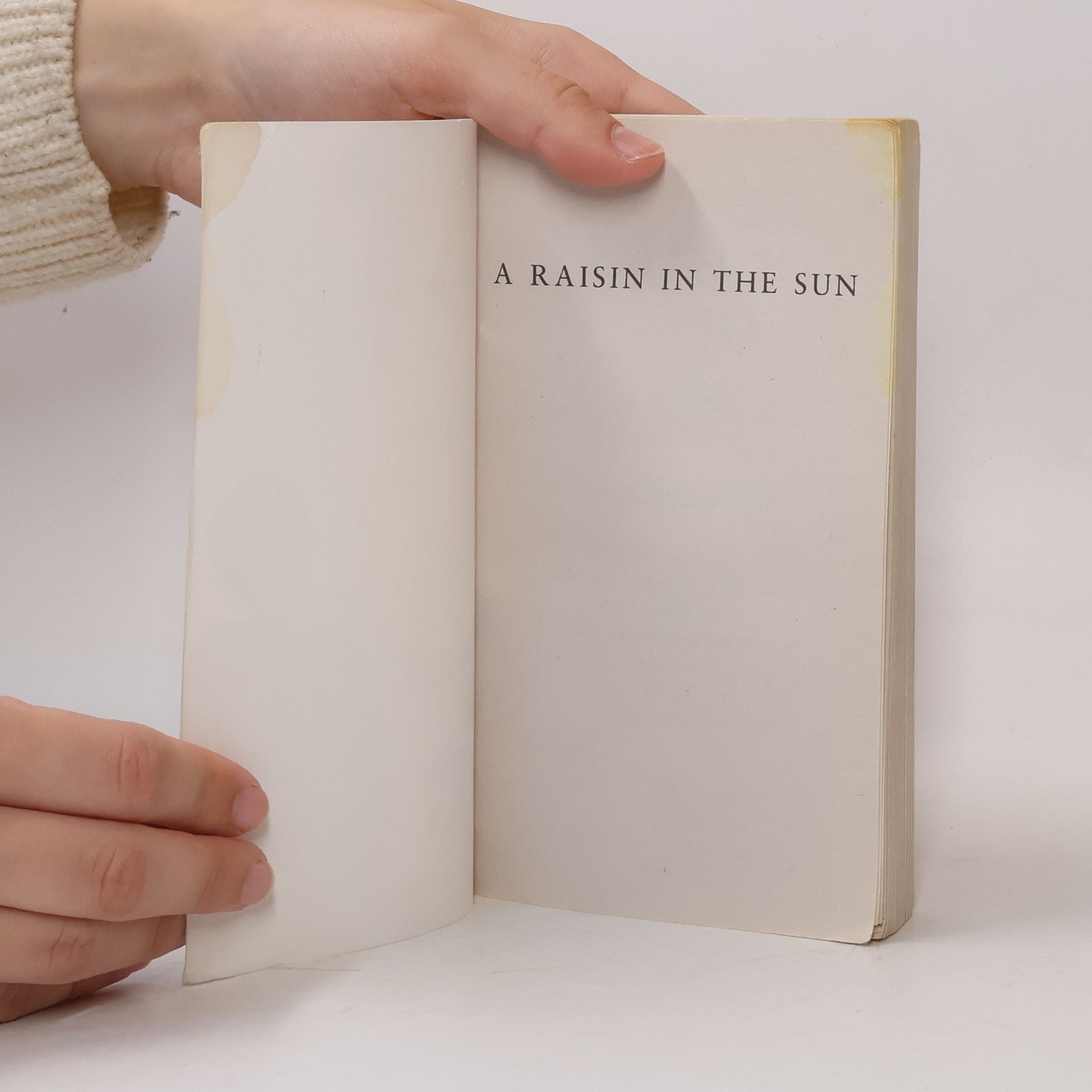 Lorraine Hansberry A Raisin in the Sun