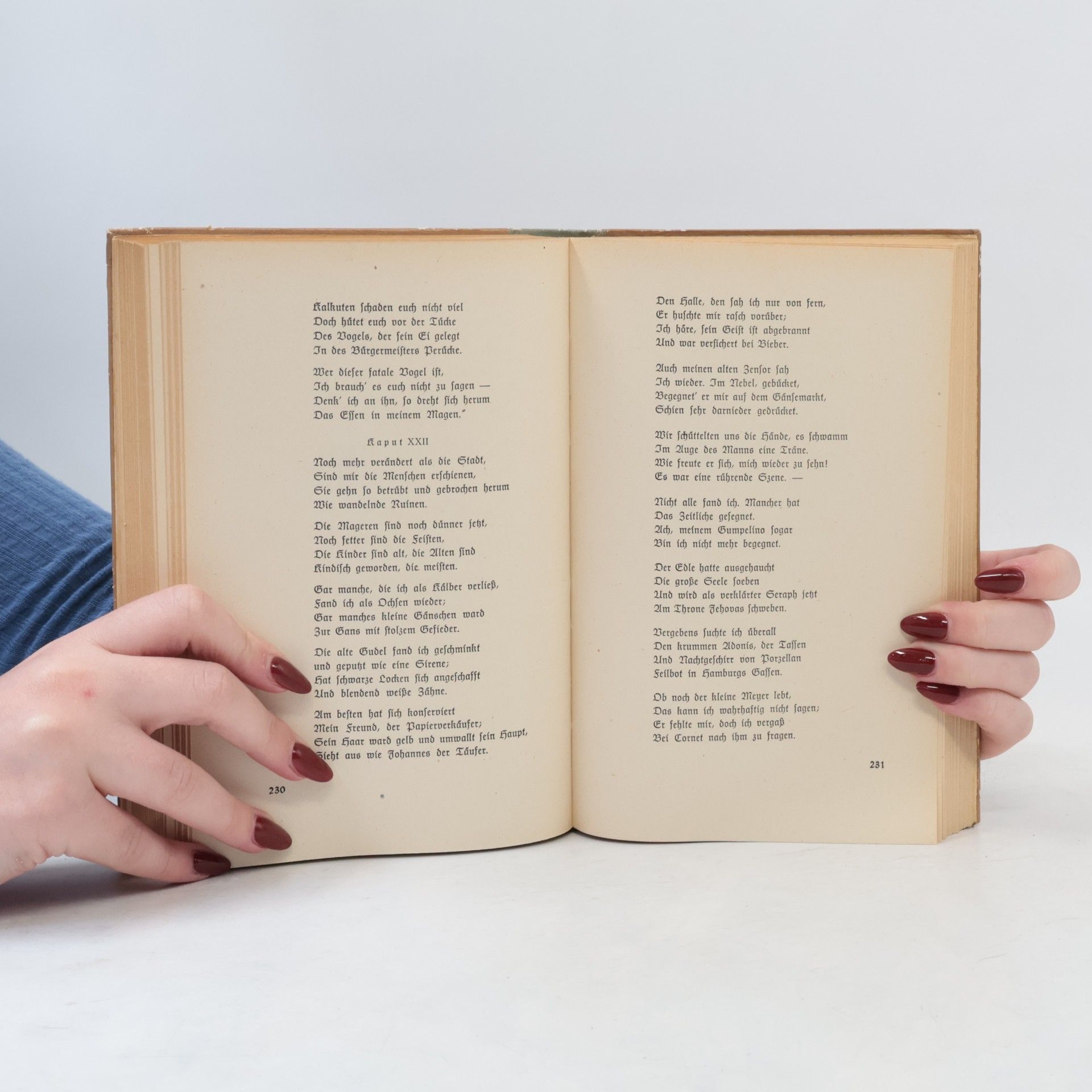 Heinrich Heine Ausgewählte Werke 2