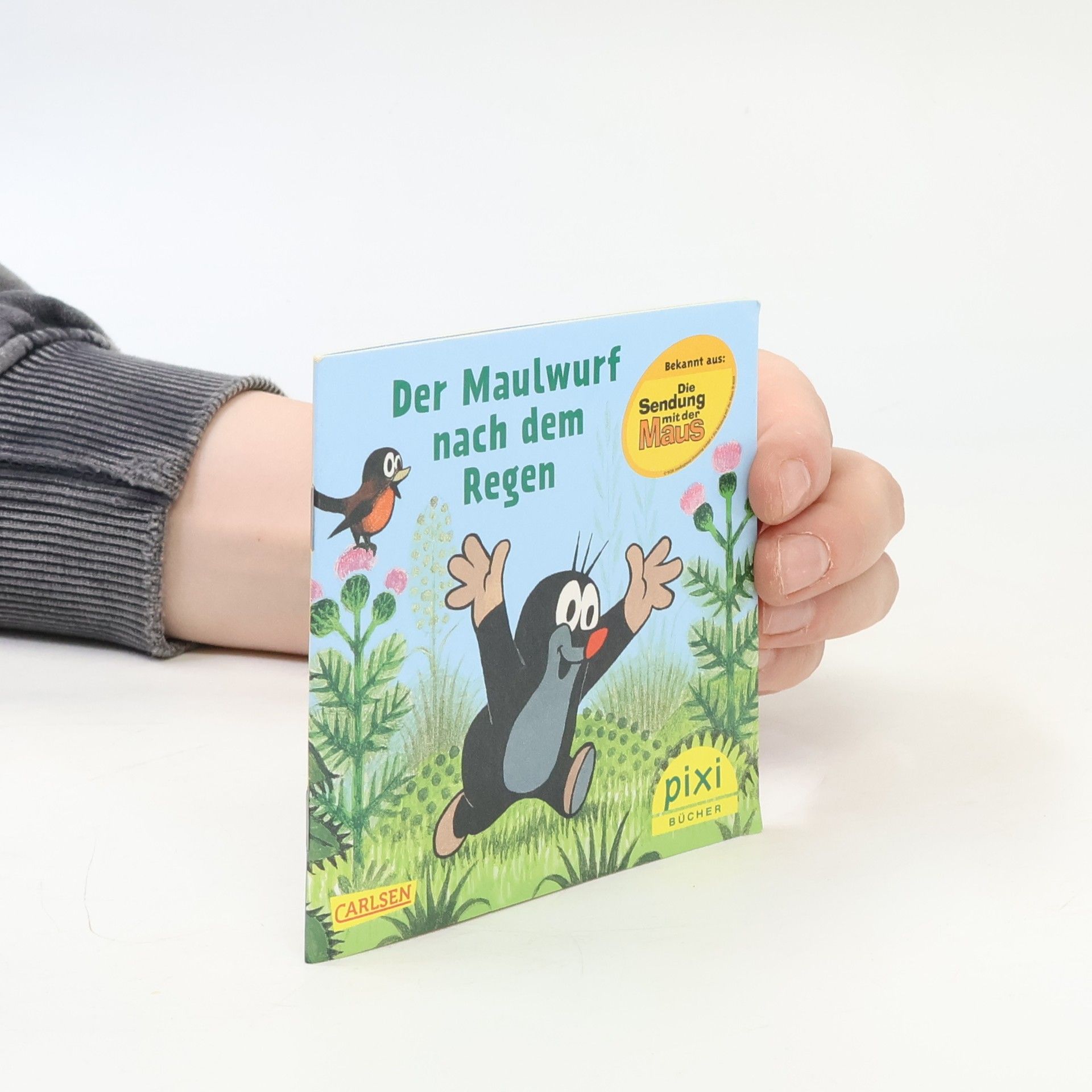 Kolektiv autorů Der Maulwurf nach dem Regen