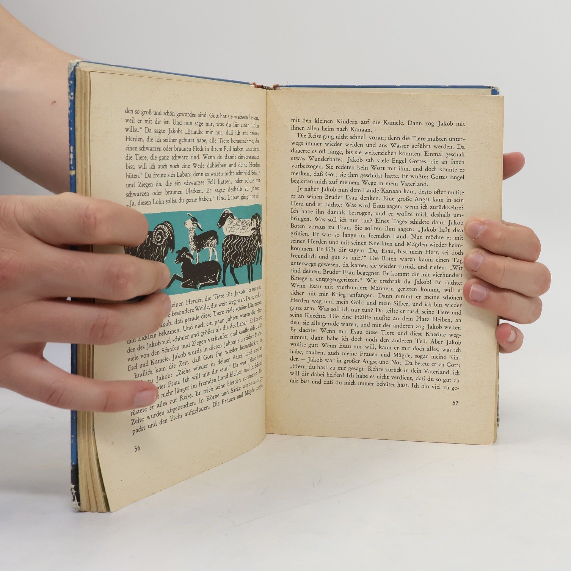 Autorenkollektiv Kommt und seht