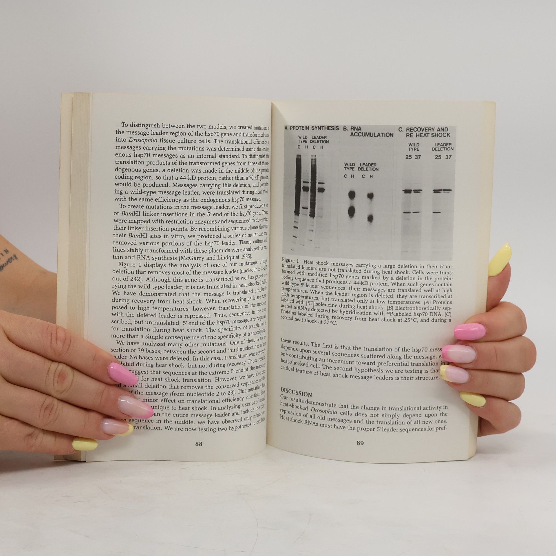 Michael B. Mathews Current Communications in Cell and Molecular Biology: Translational Control