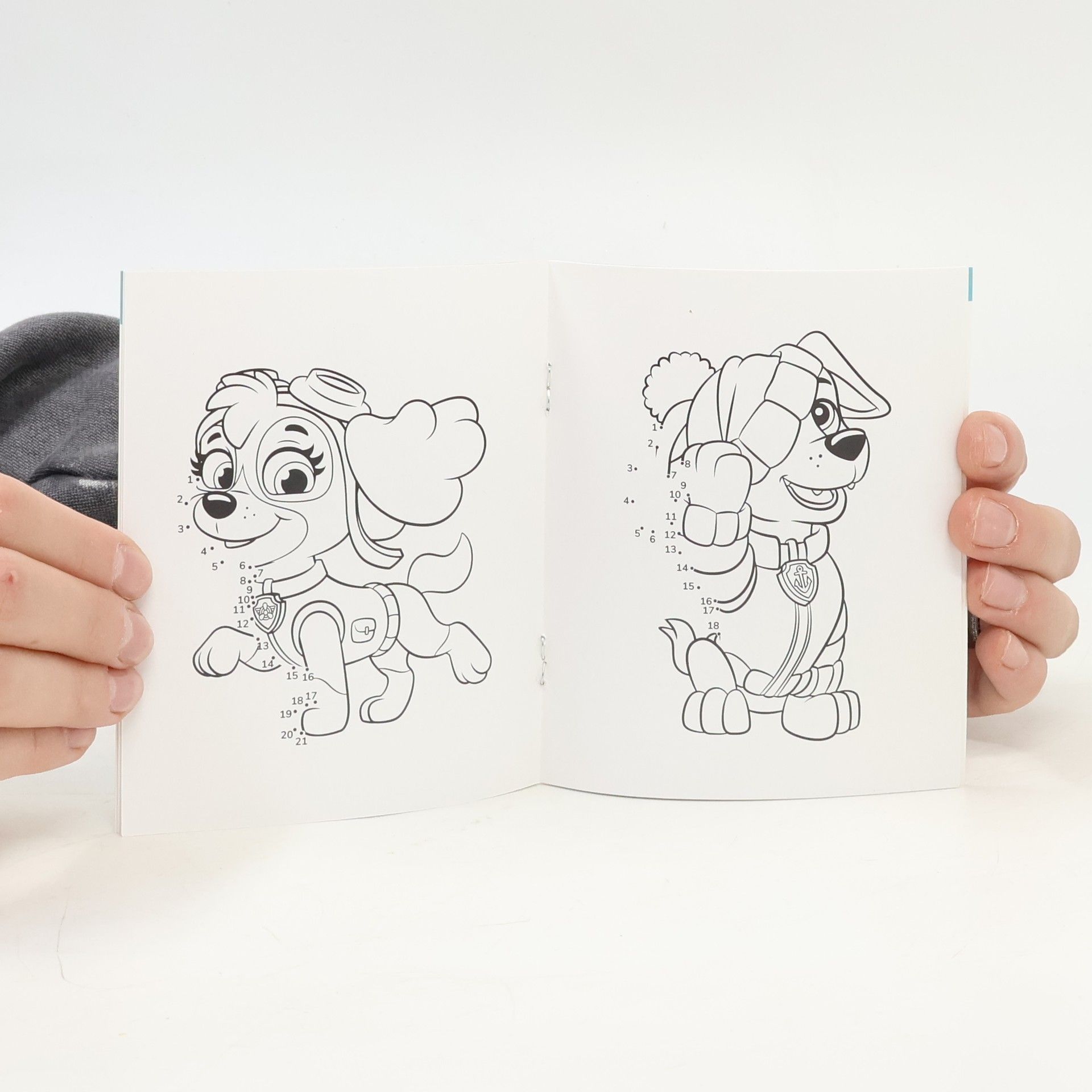 Auteurscollectief PAW Patrol. Malen von Punkt zu Punkt