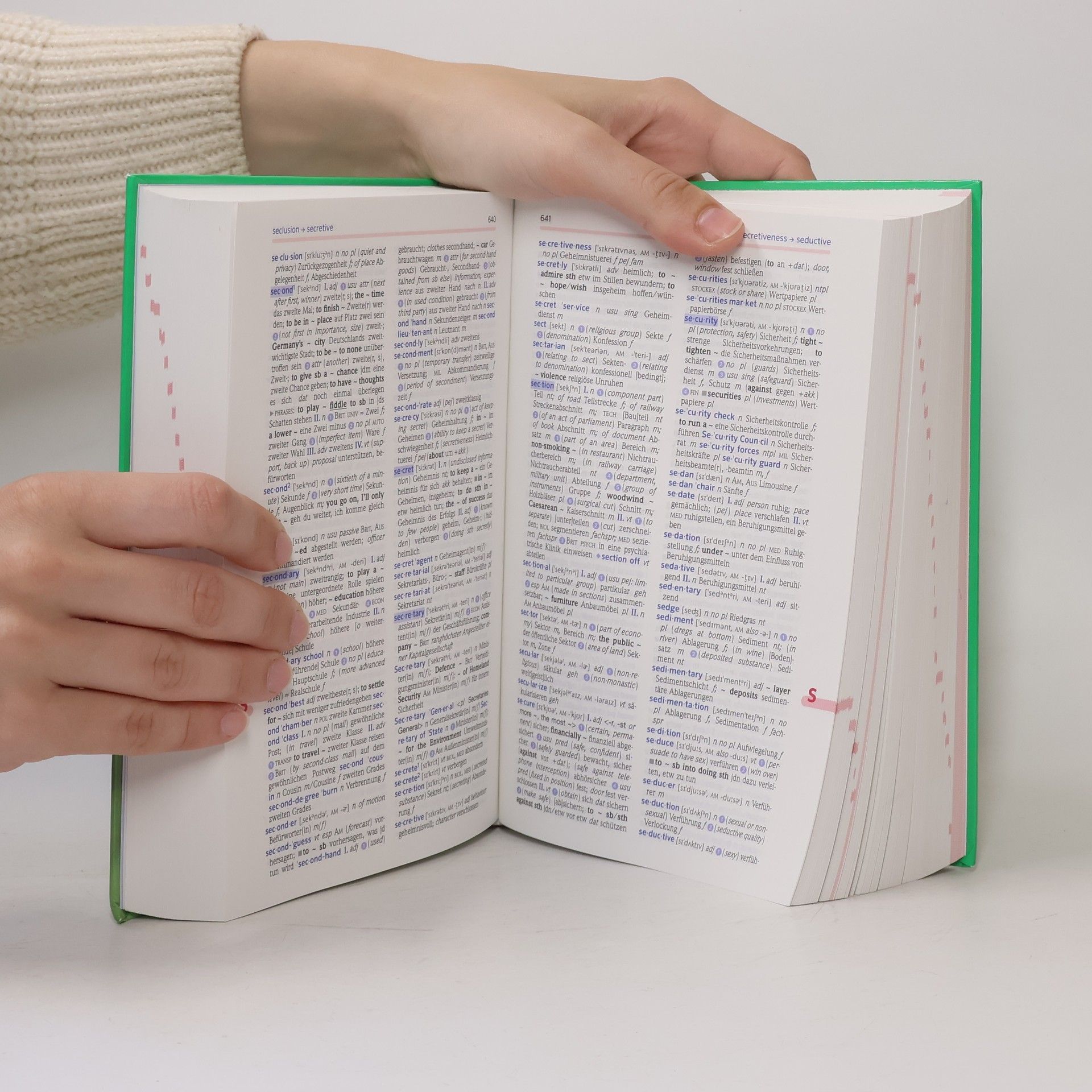 Christiane Wirth Schülerwörterbuch Englisch