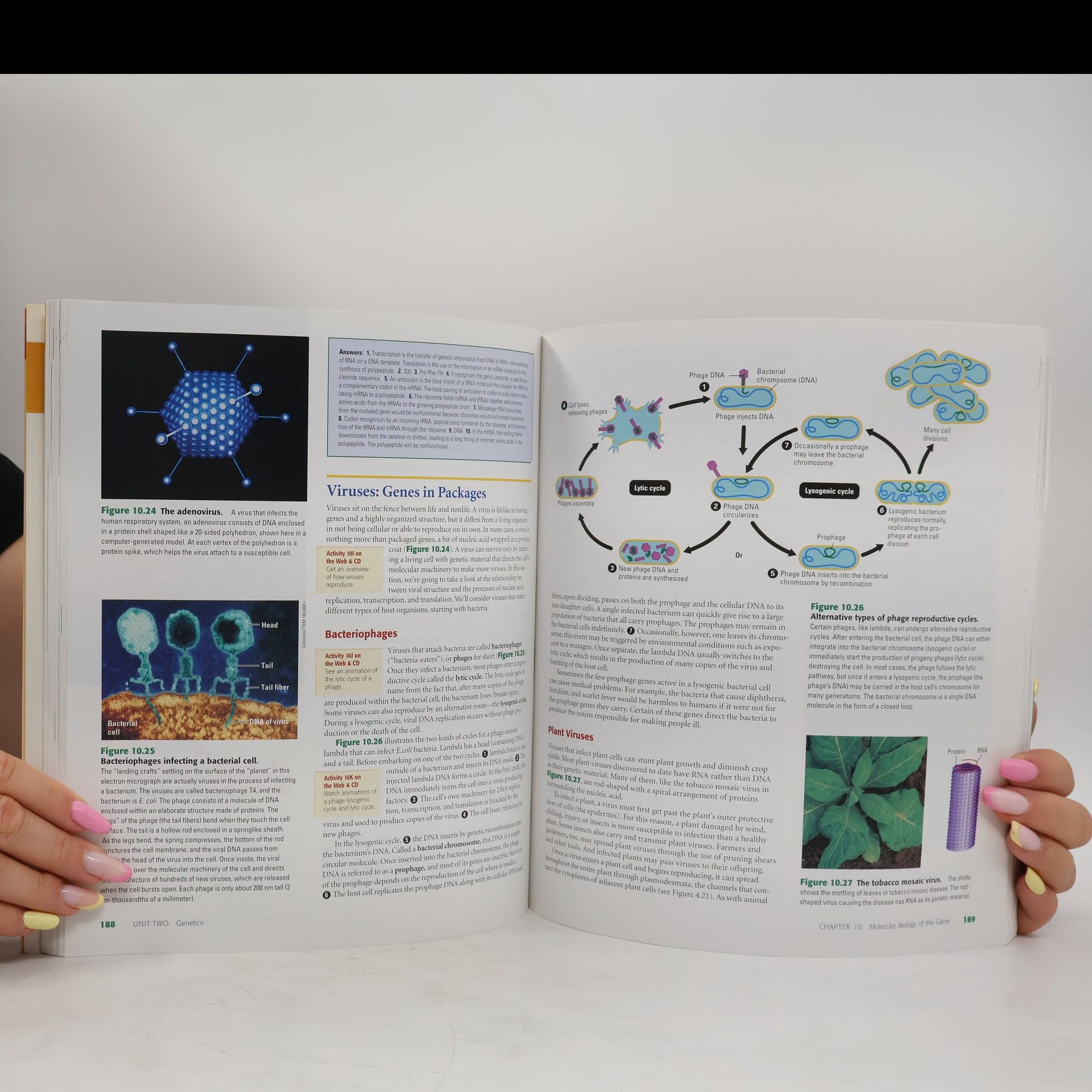 Neil A. Campbell Essential Biology