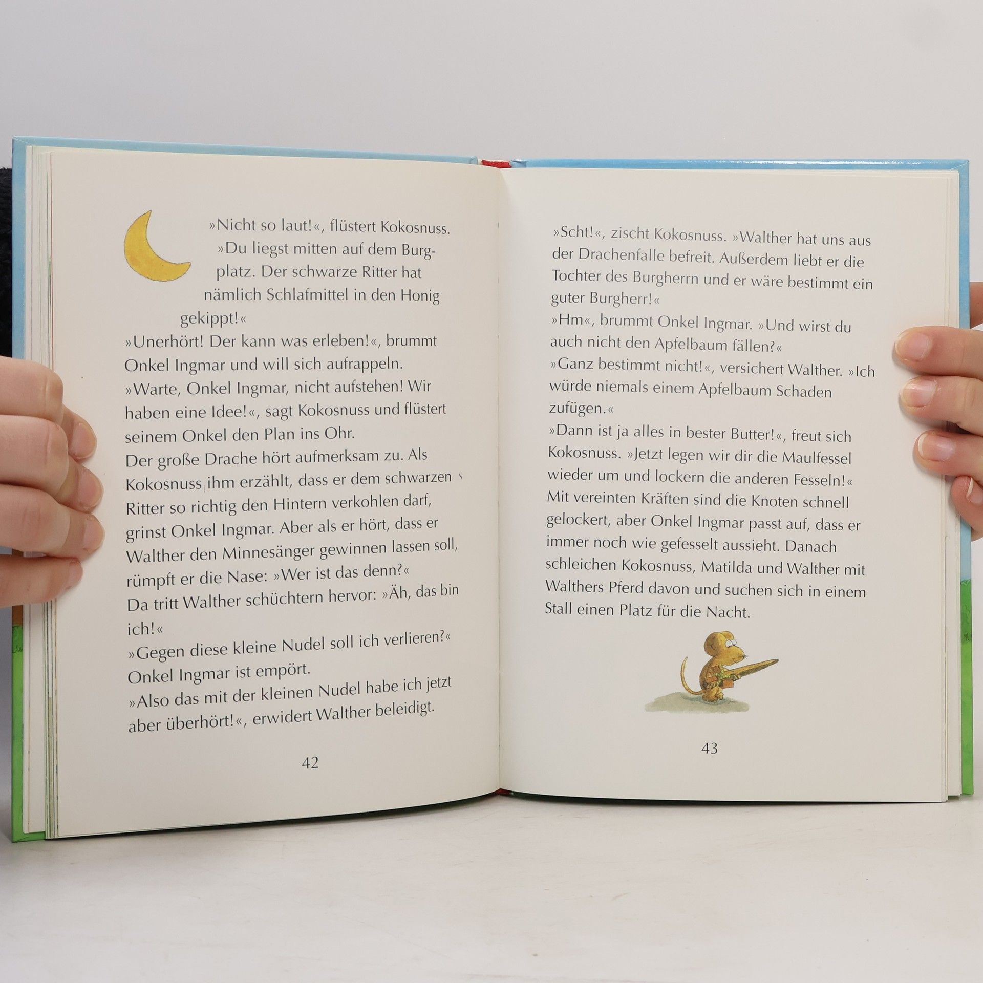 Ingo Seigner Der kleine Drache Kokosnuss und der schwarze Ritter