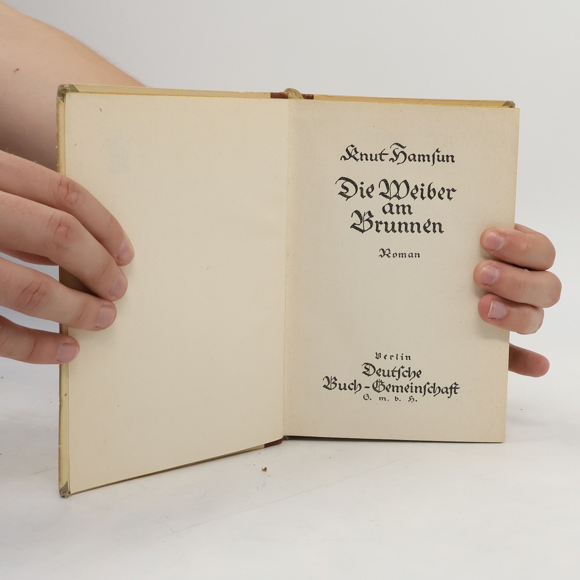 Knut Hamsun Die Weiber am Brunnen