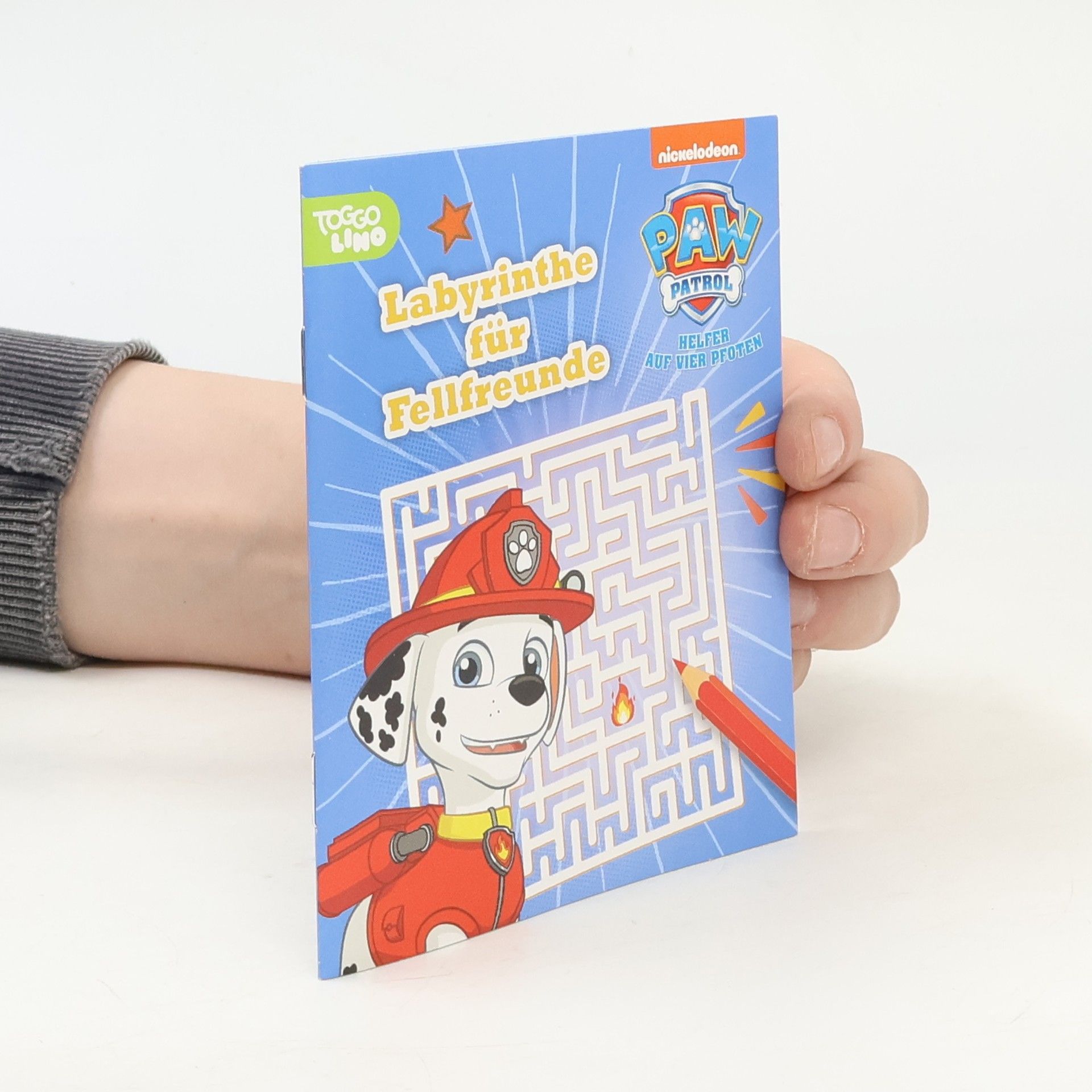 Autorenkollektiv Paw Patrol. Labyrinthe für Fellfreunde