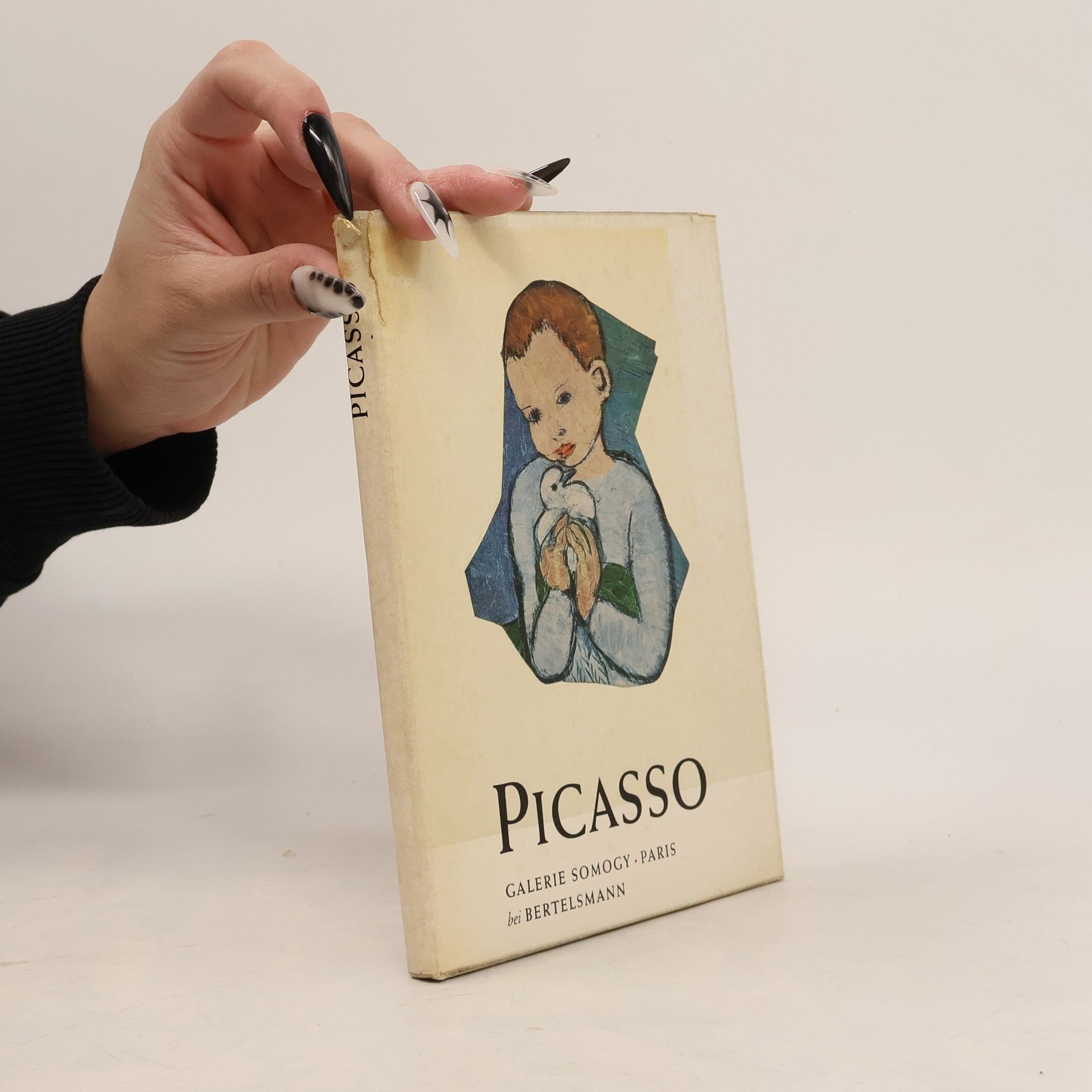 Autorenkollektiv Picasso