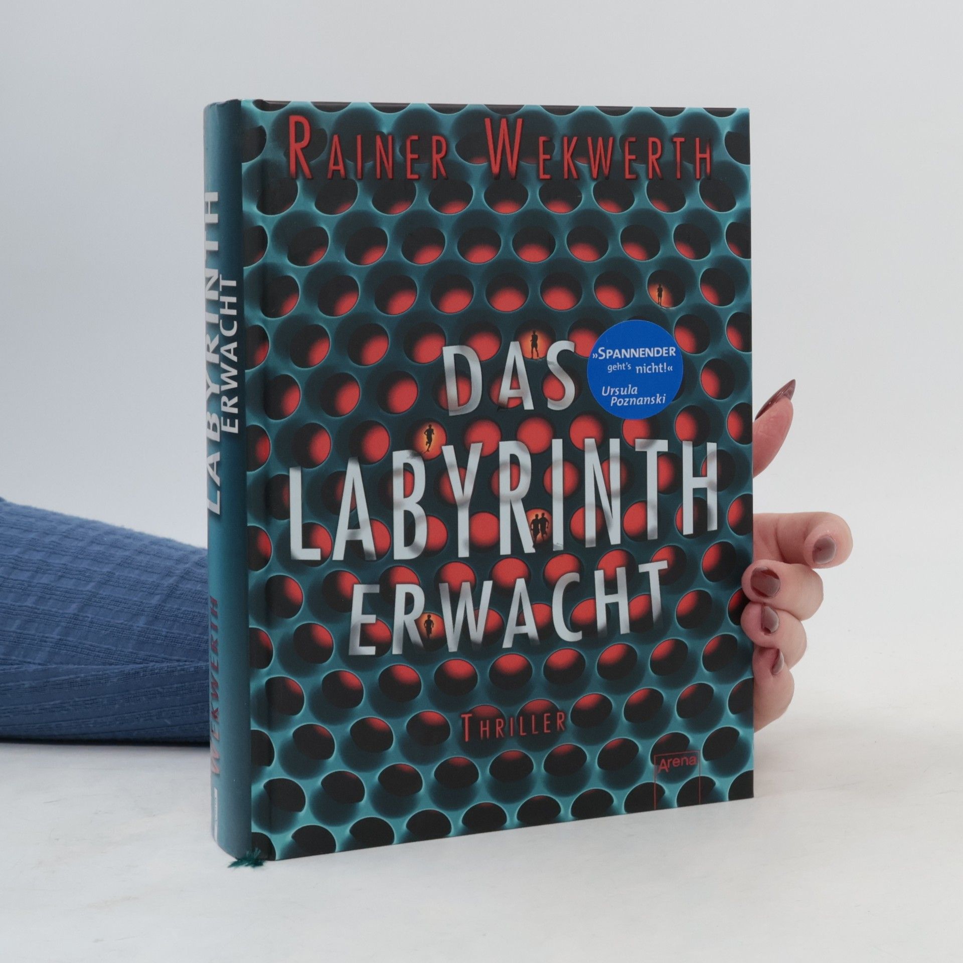Rainer Wekwerth Das Labyrinth erwacht