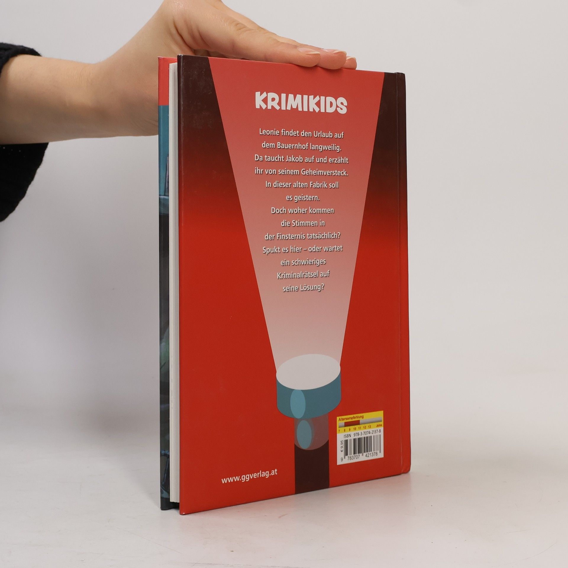 Robert Klement Stimme in der Finsternis