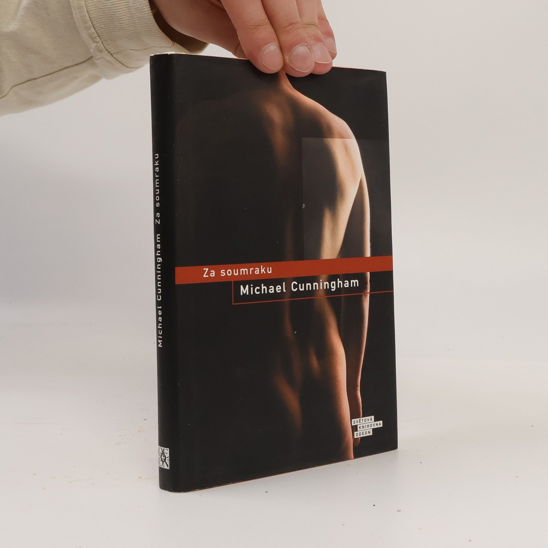 Michael Cunningham Za soumraku