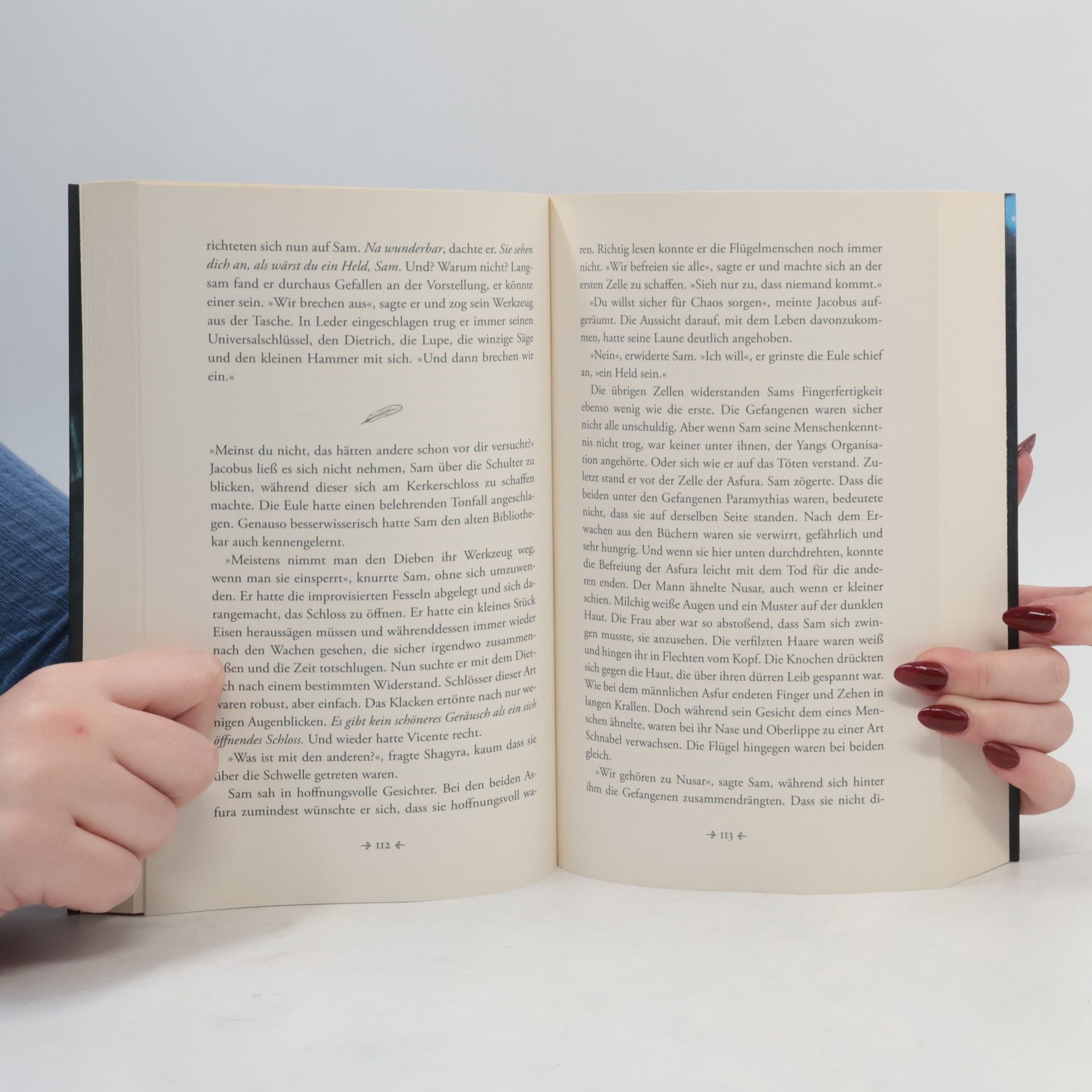 Akram El-Bahay Bücherkrieg